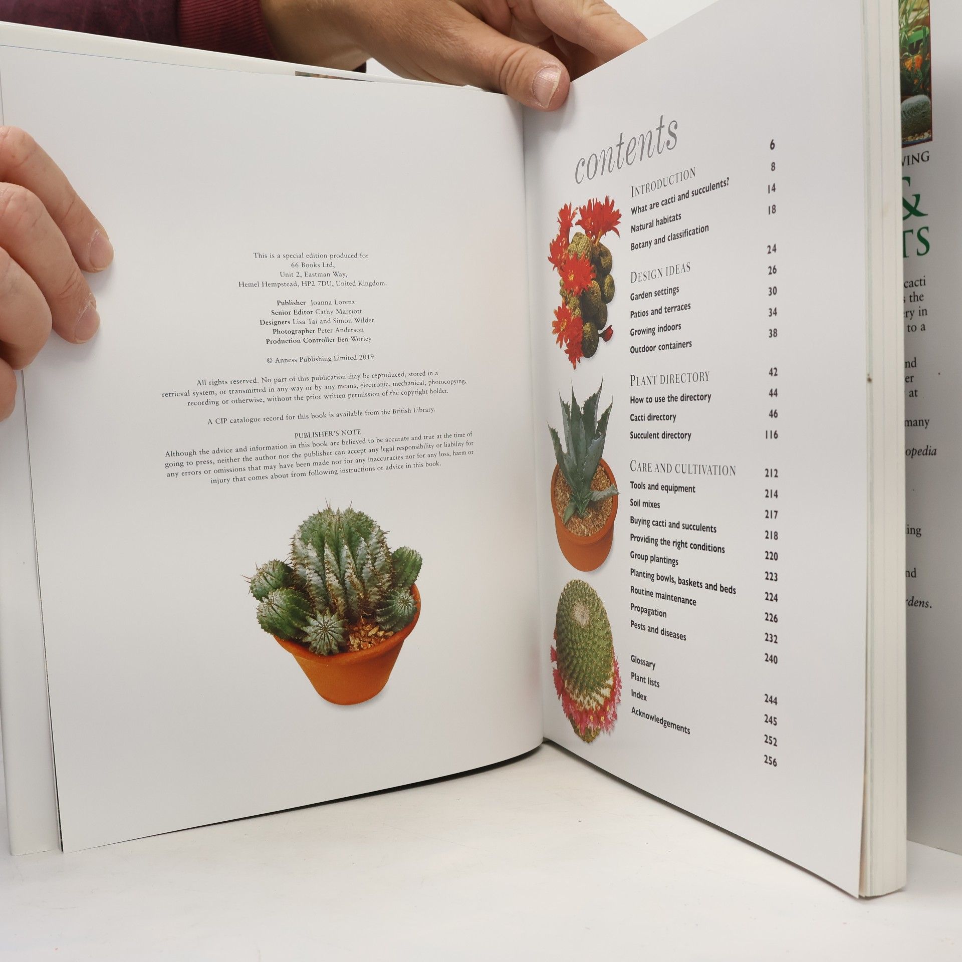 Miles Anderson Cacti & Succulents