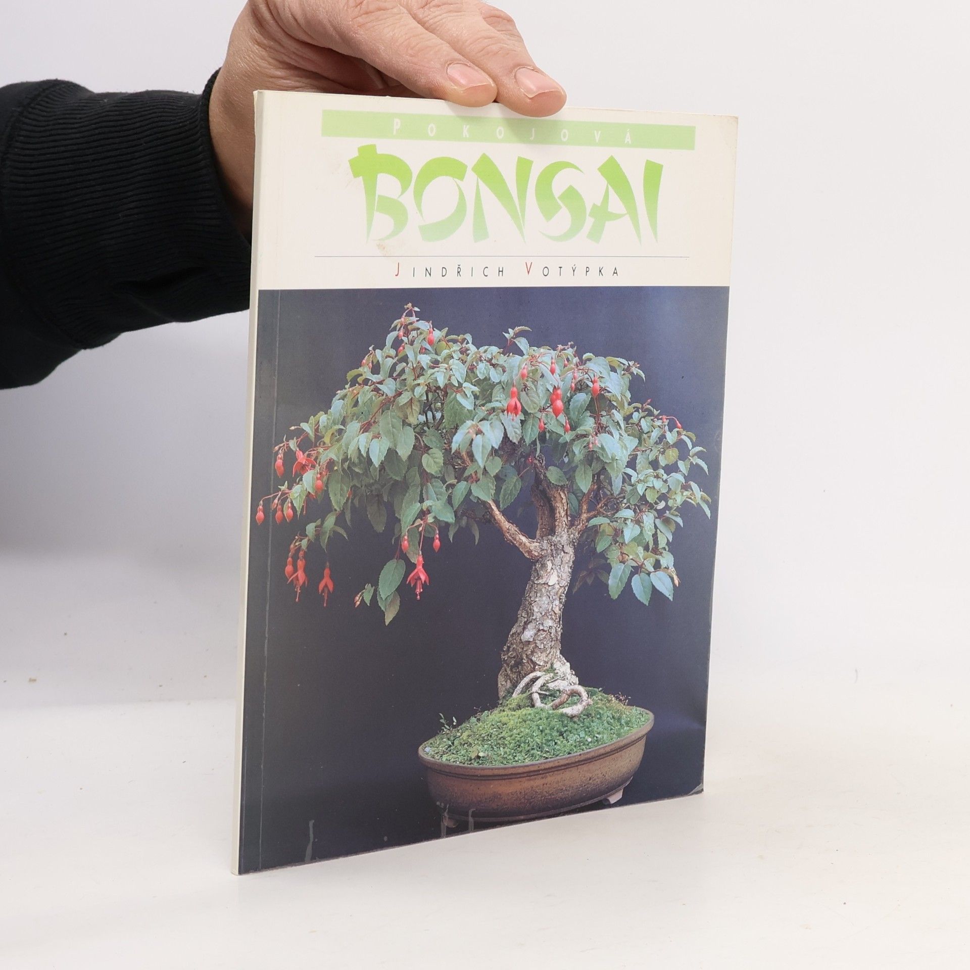 Pokojová bonsai