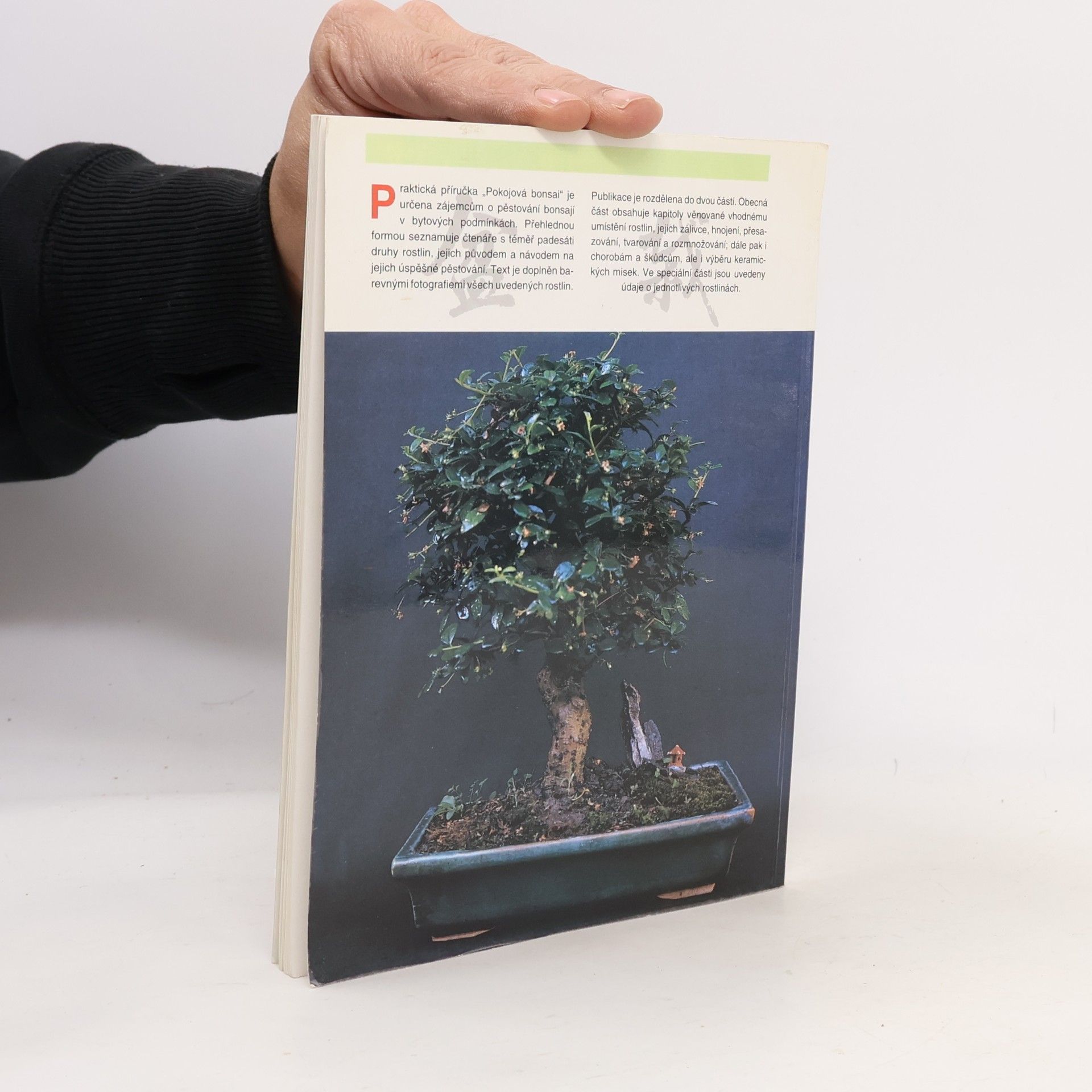 Jindřich Votýpka Pokojová bonsai