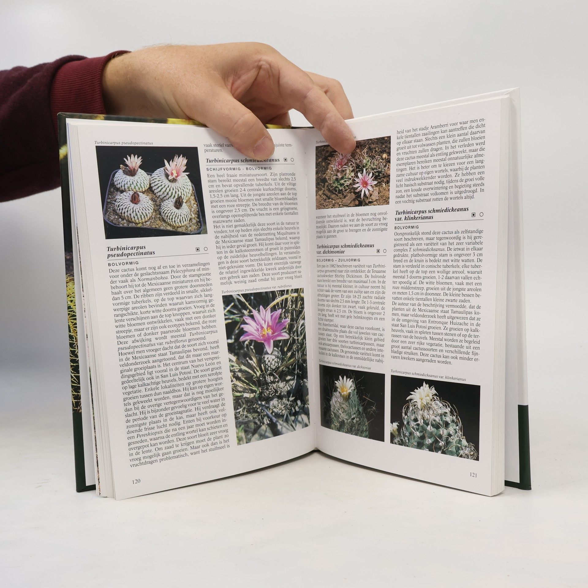Libor Kunte Geïllustreerde cactus encyclopedie