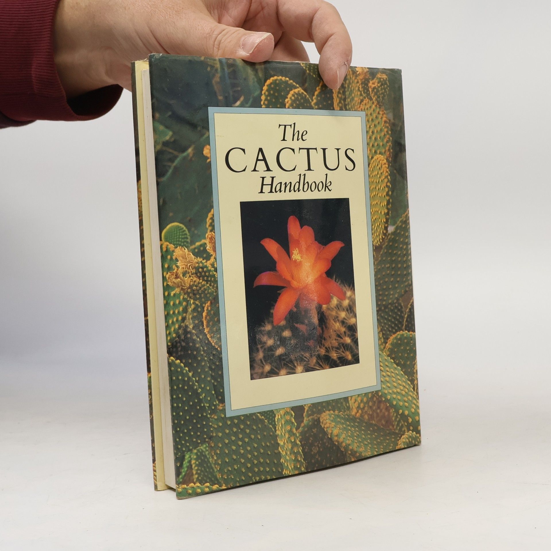 Erik Haustein The Cactus Handbook