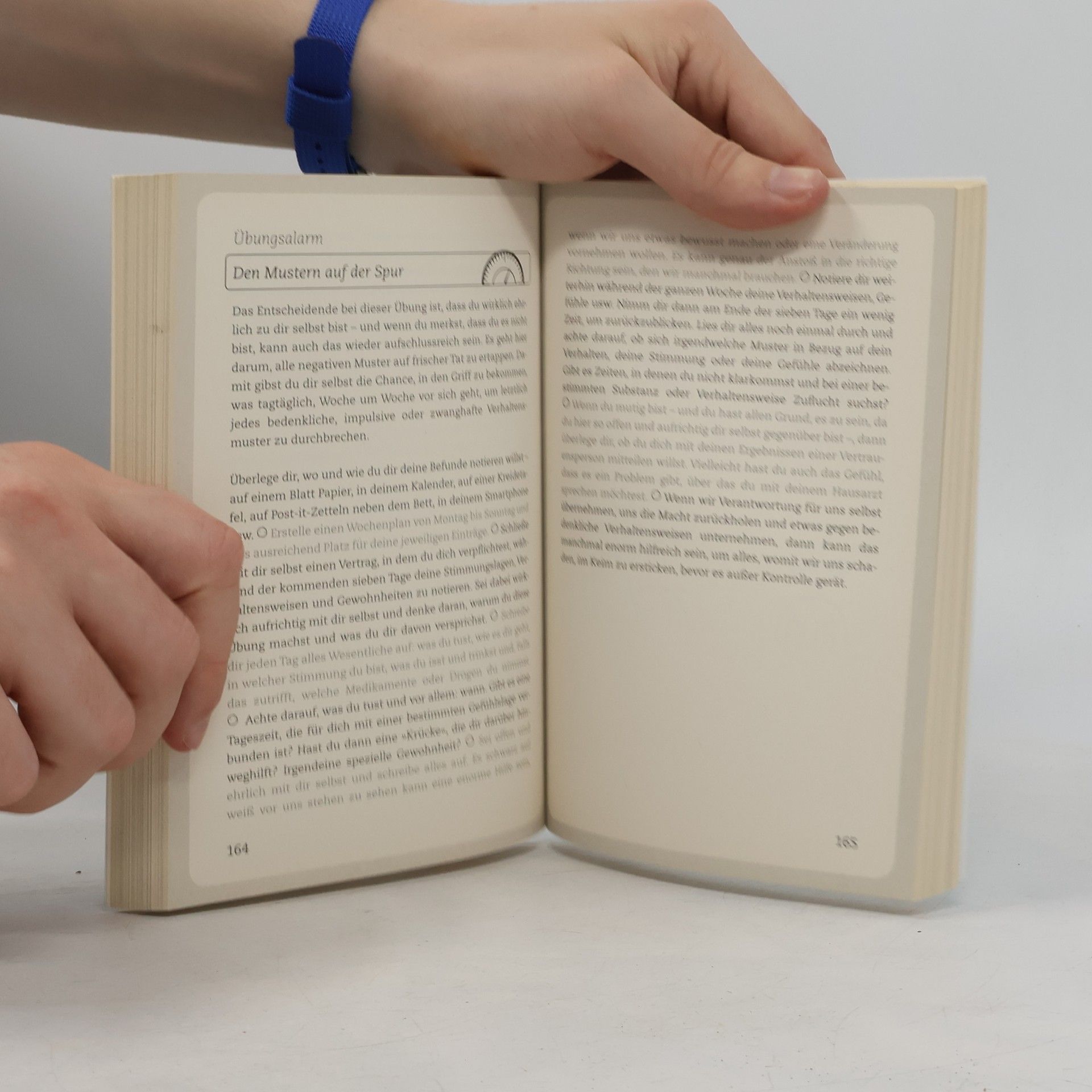 Anna Williamson Mach dich nicht verrückt - breaking mad