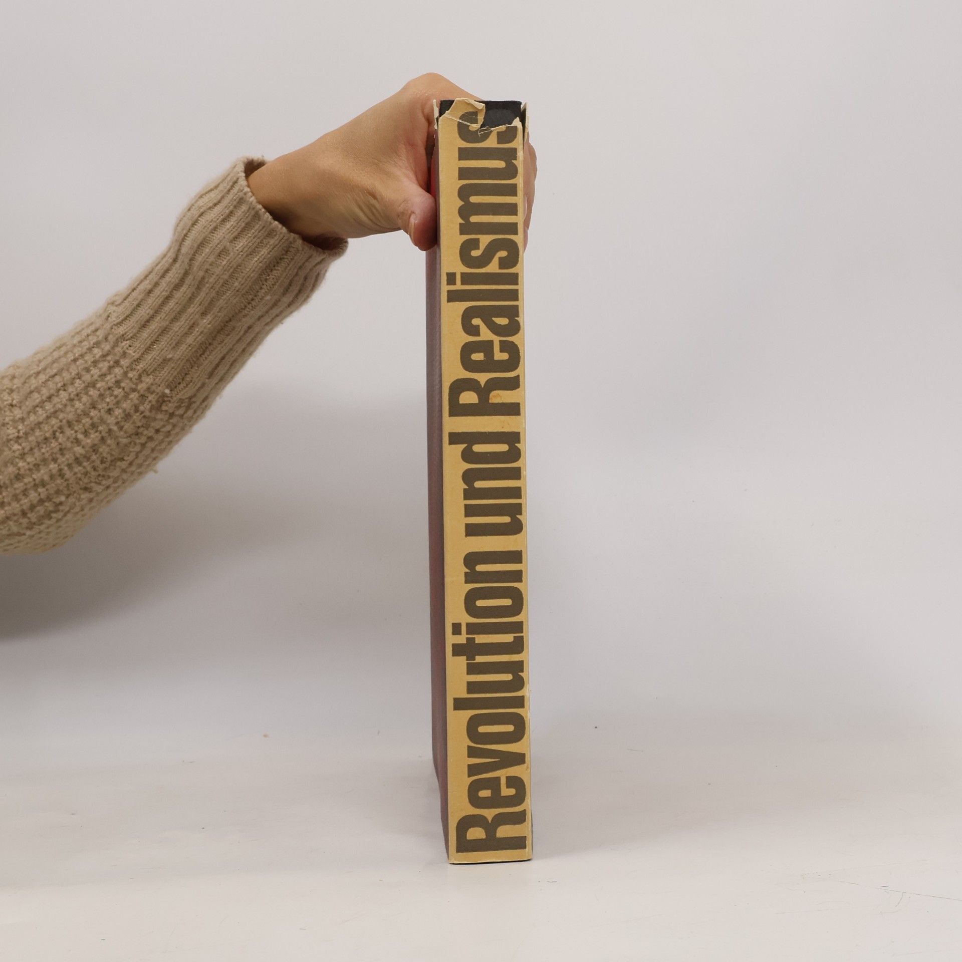 Collectif d'auteurs Revolution und Realismus