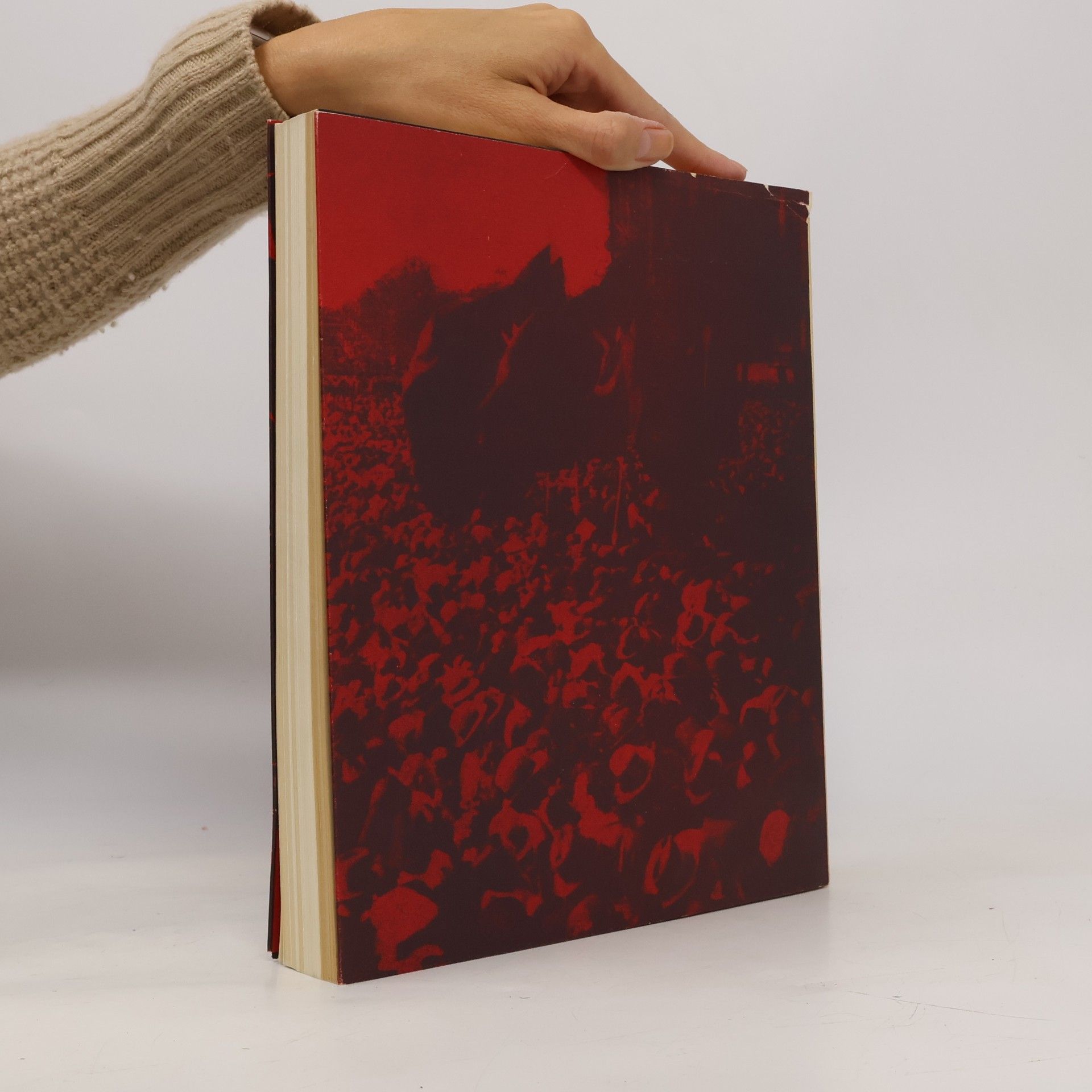 Collectif d'auteurs Revolution und Realismus