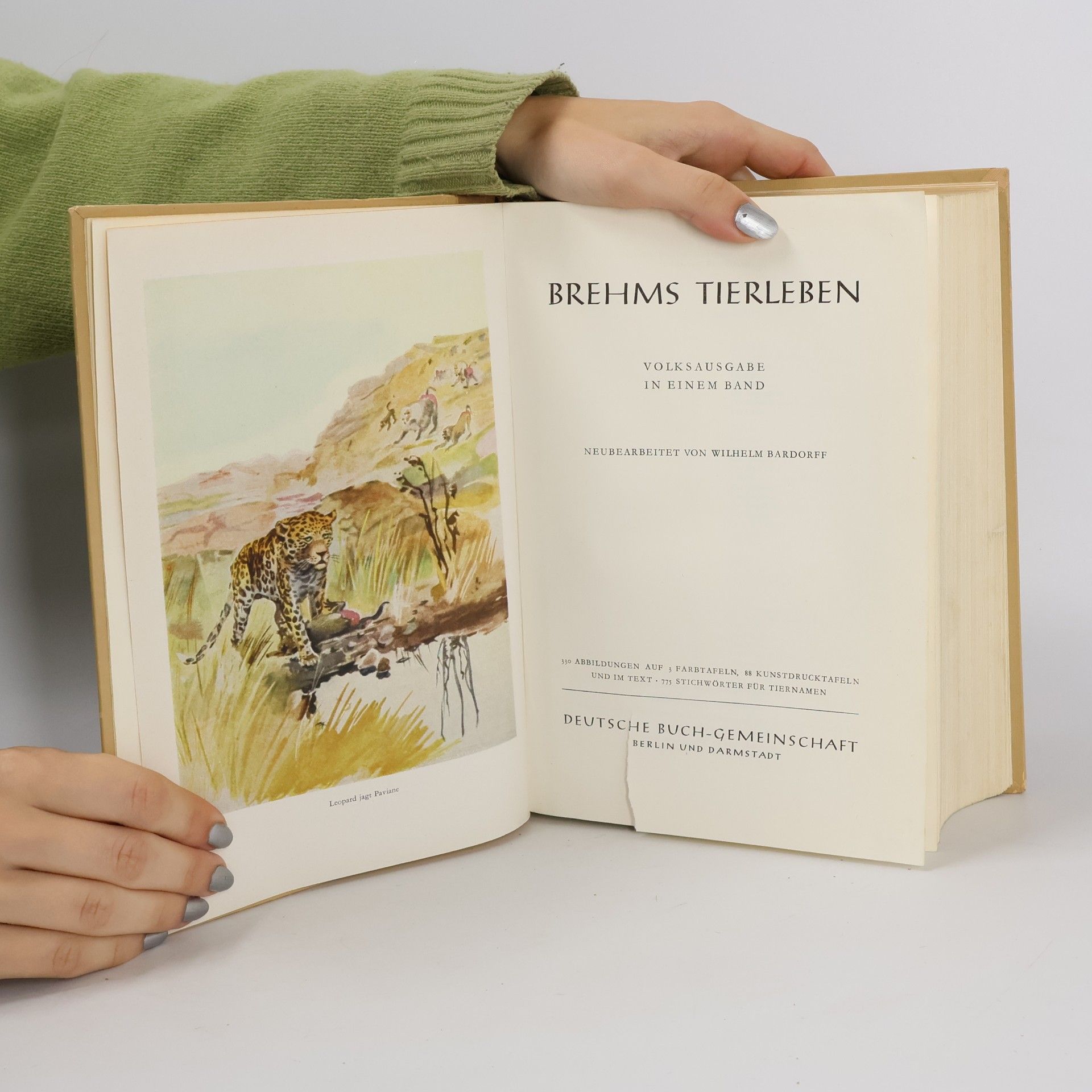 Alfred Brehm Brehms Tierleben