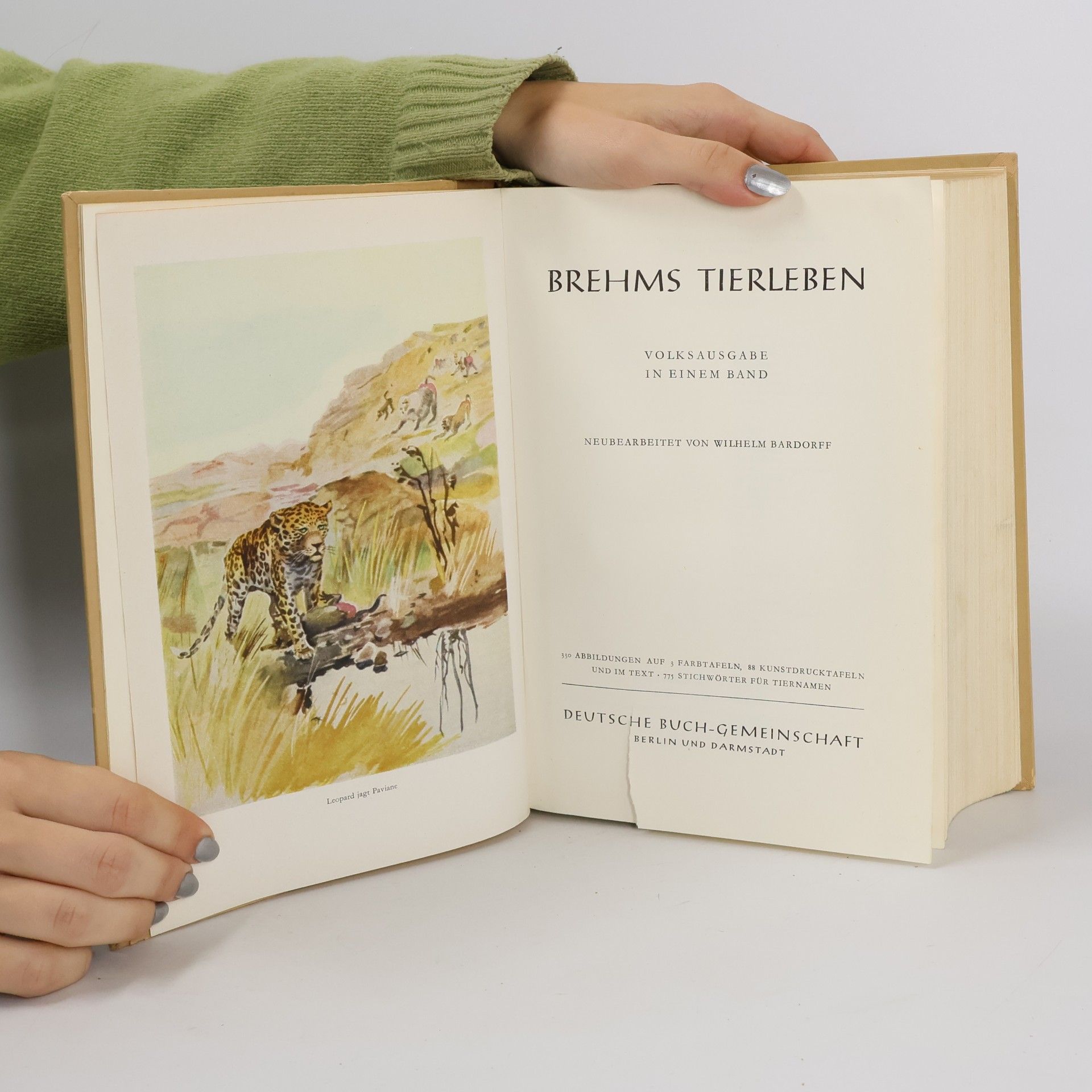 Alfred Brehm Brehms Tierleben