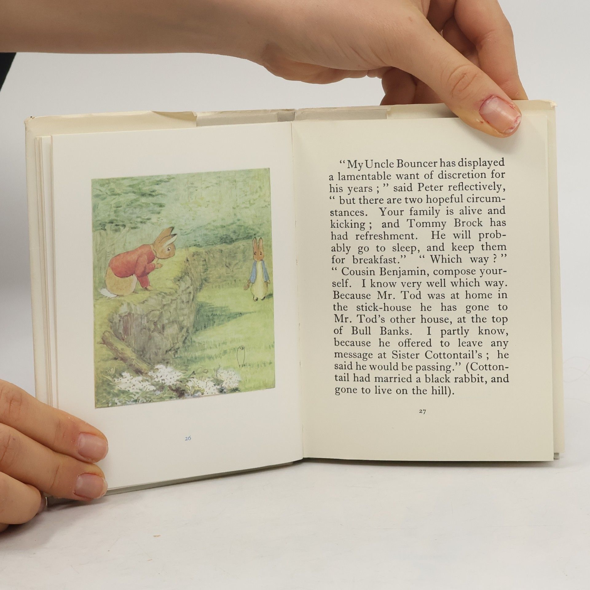 Beatrix Potter The Tale of Mr. Tod