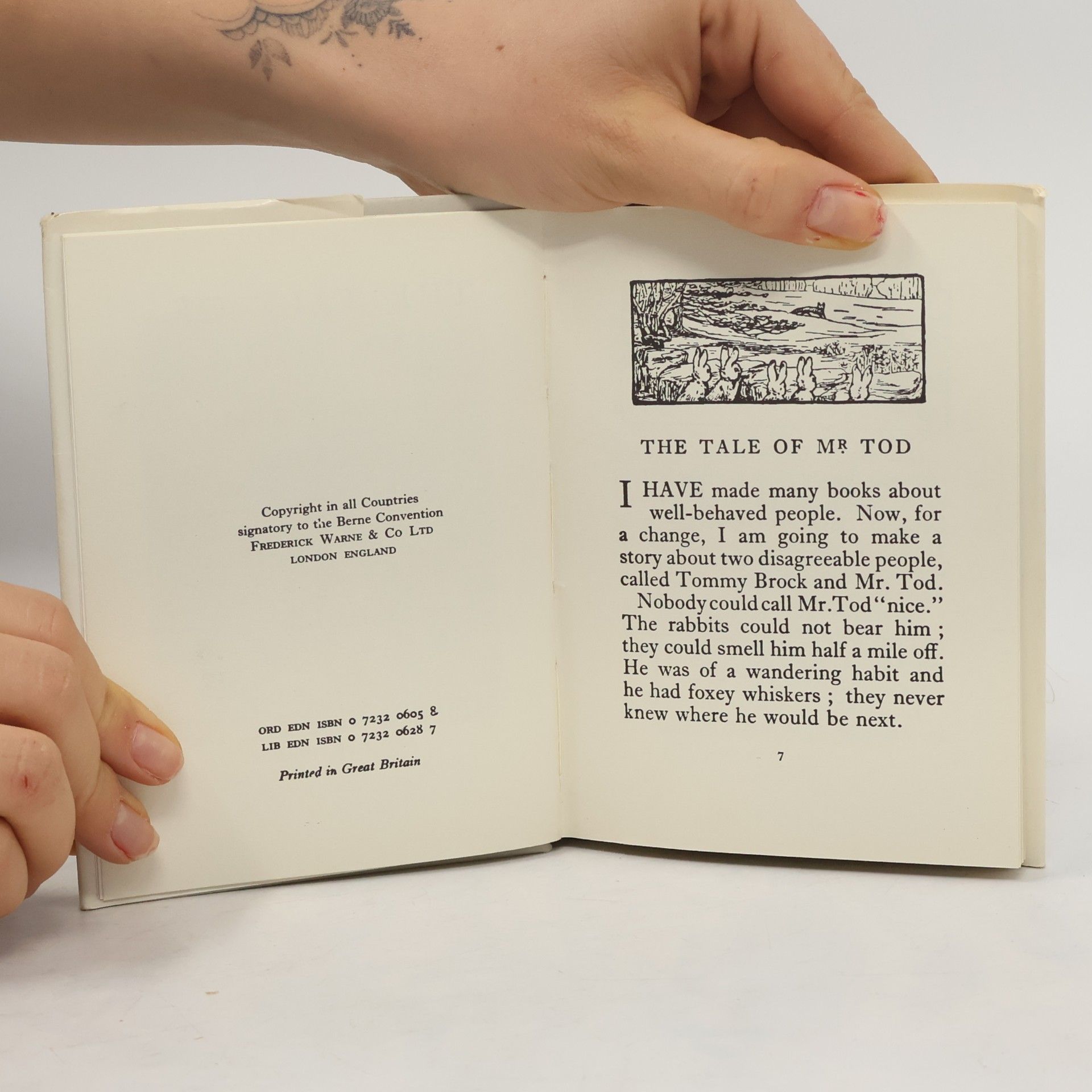Beatrix Potter The Tale of Mr. Tod