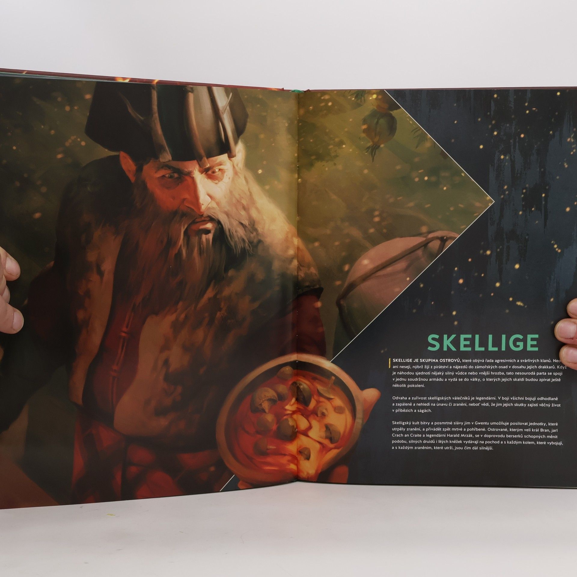 Filip Ženíšek Gwent: Výtvarné umění zaklínačské karetní hry