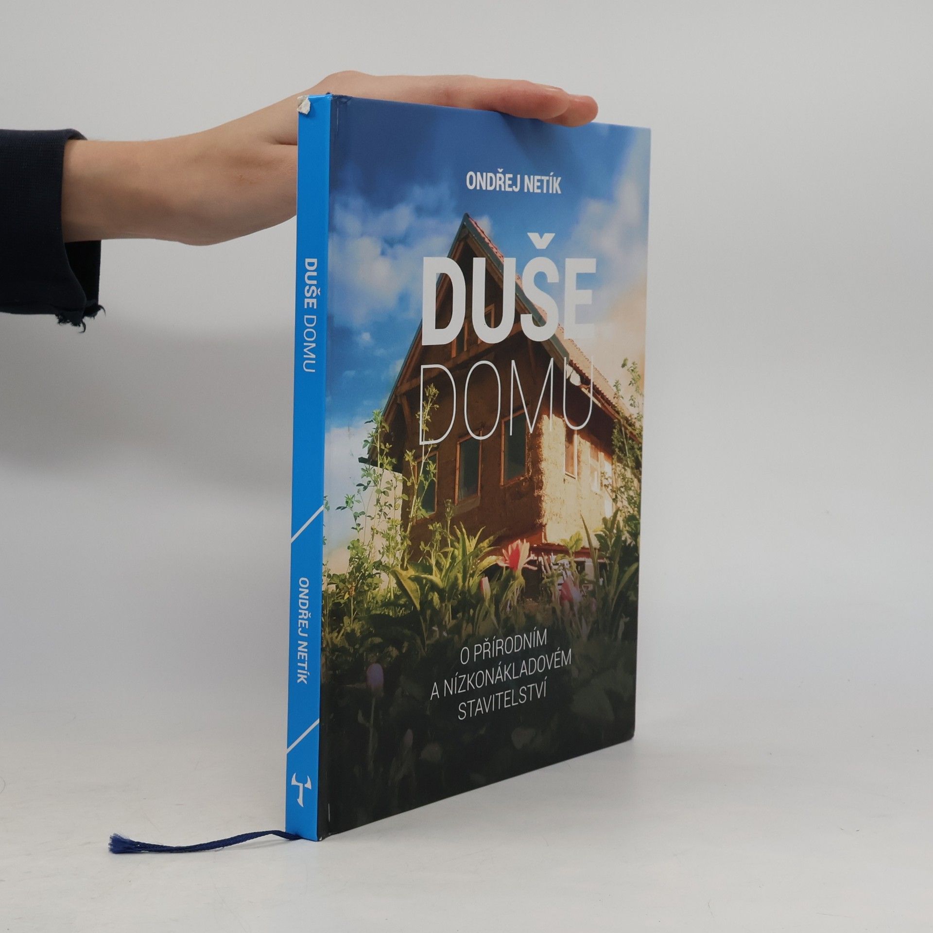 Duše domu