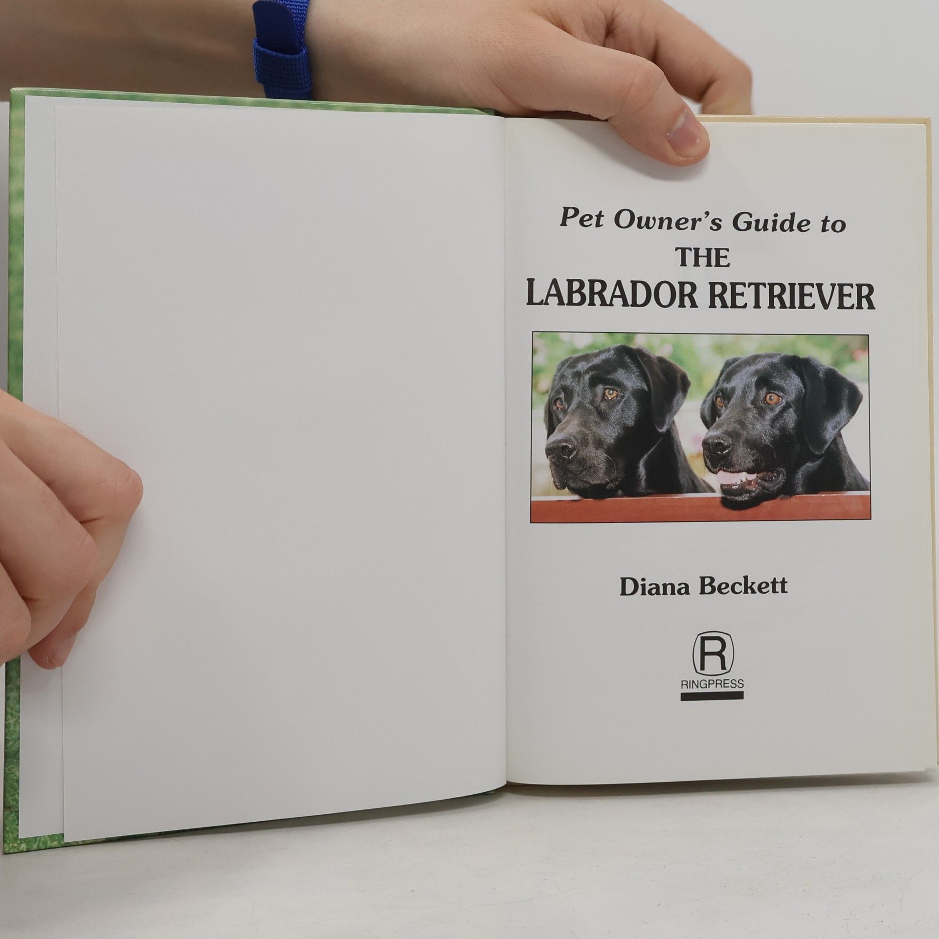 Diana Beckett The Pet Owner's Guide to the Labrador Retriever