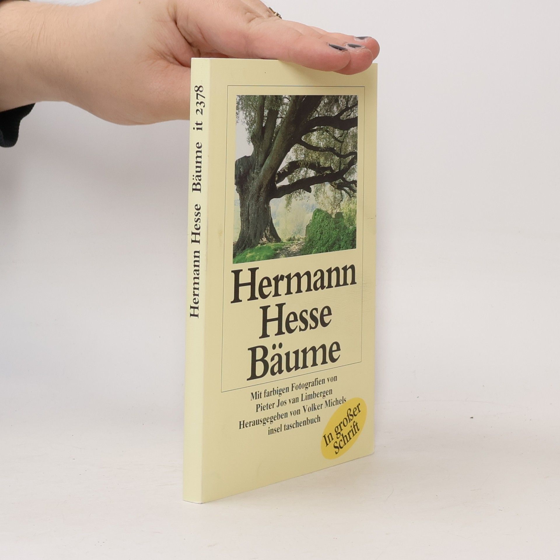 Bäume