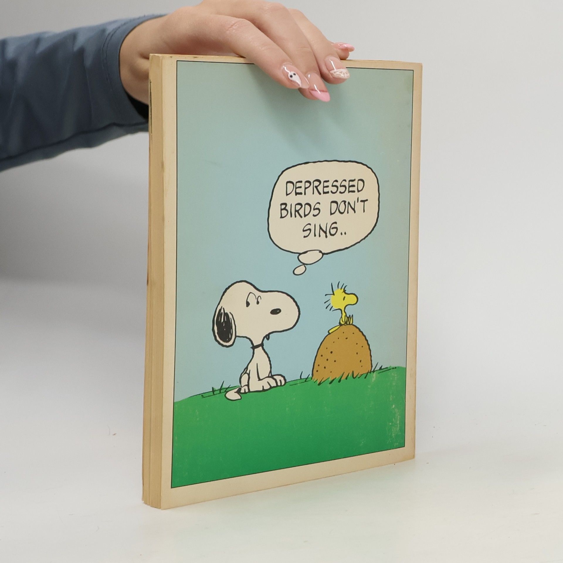Charles Schulz You've Come a Long Way, Charlie Brown