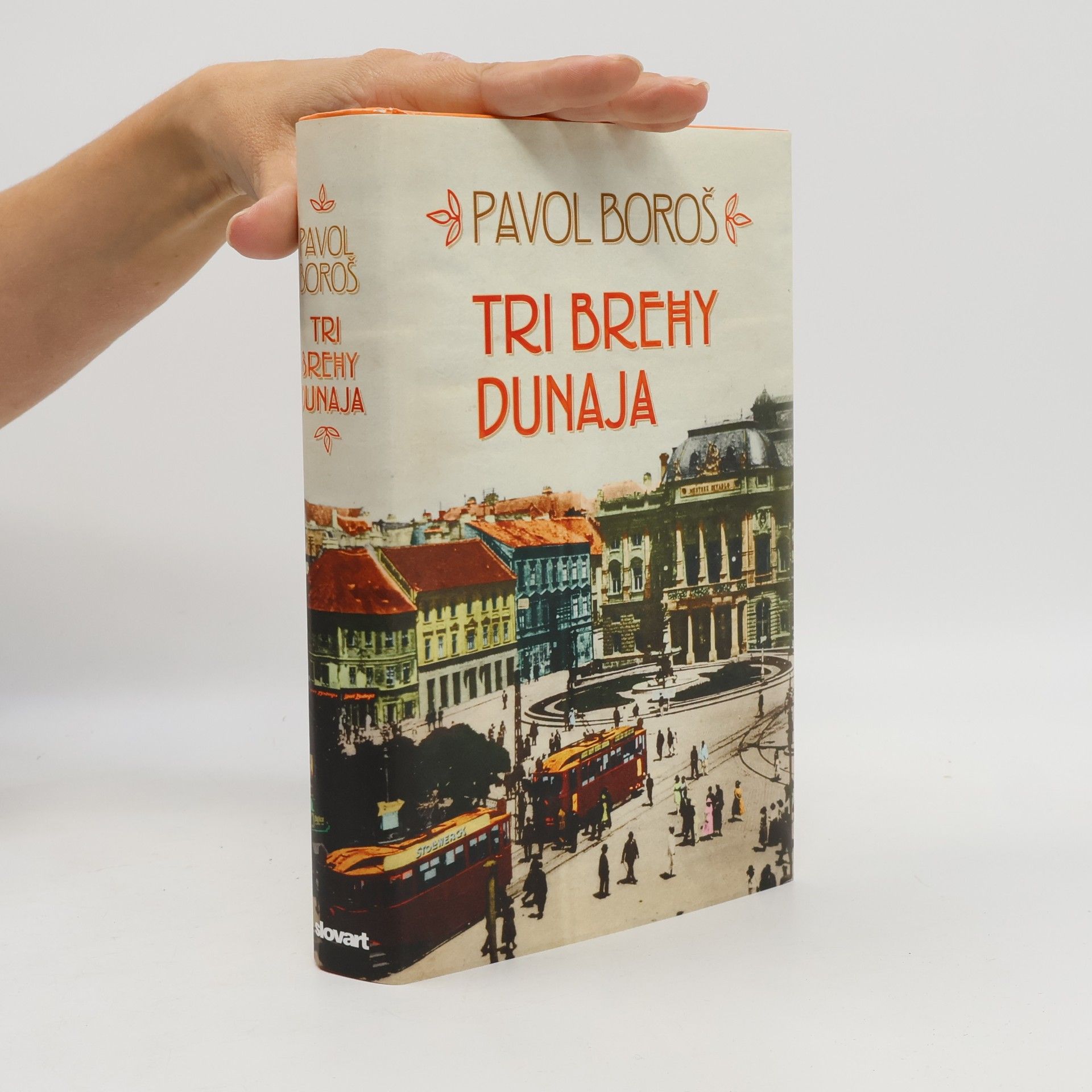 Pavol Boroš Tri brehy Dunaja