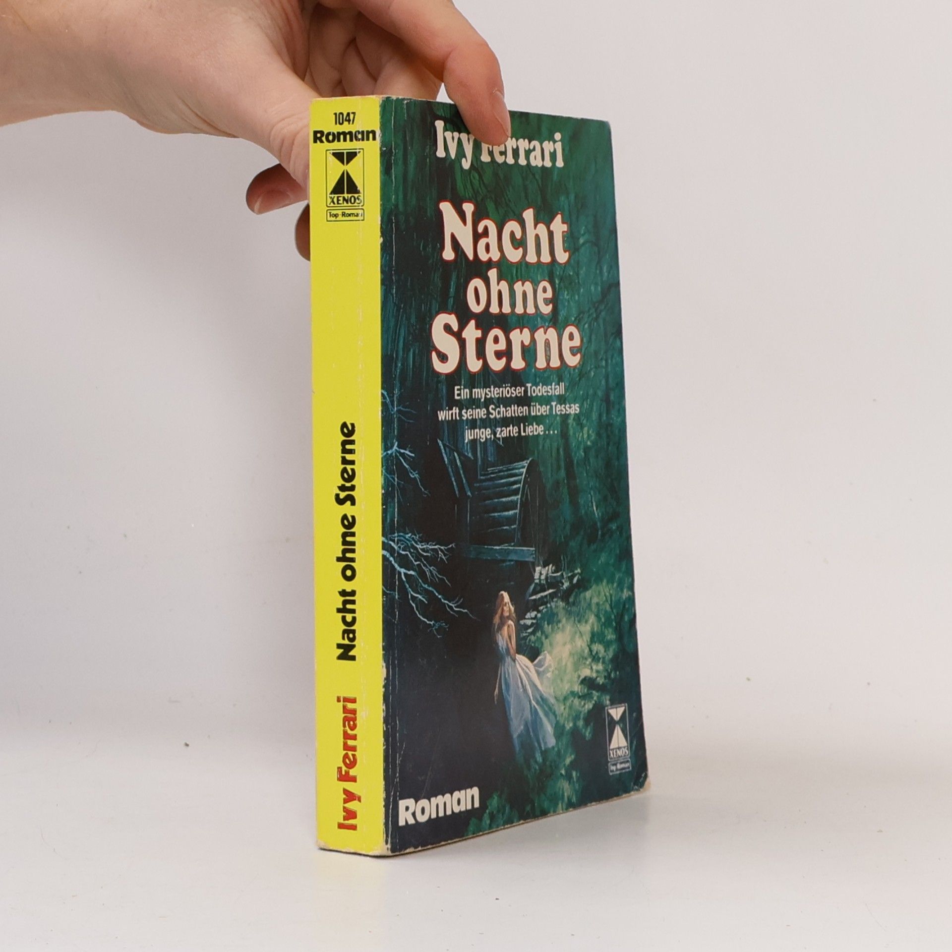 Nacht ohne Sterne