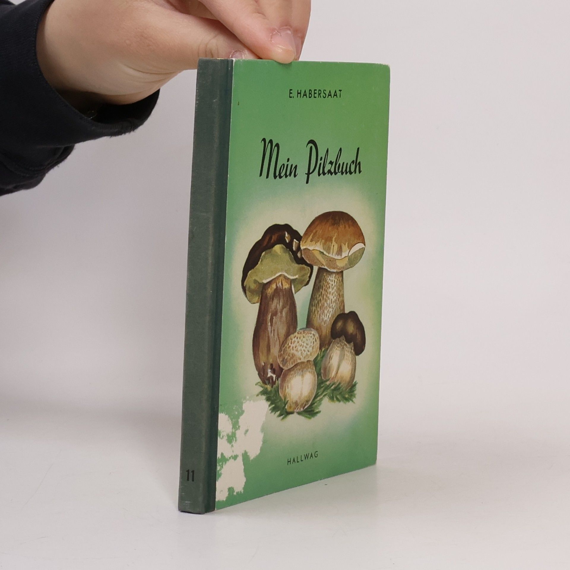 Mein Pilzbuch