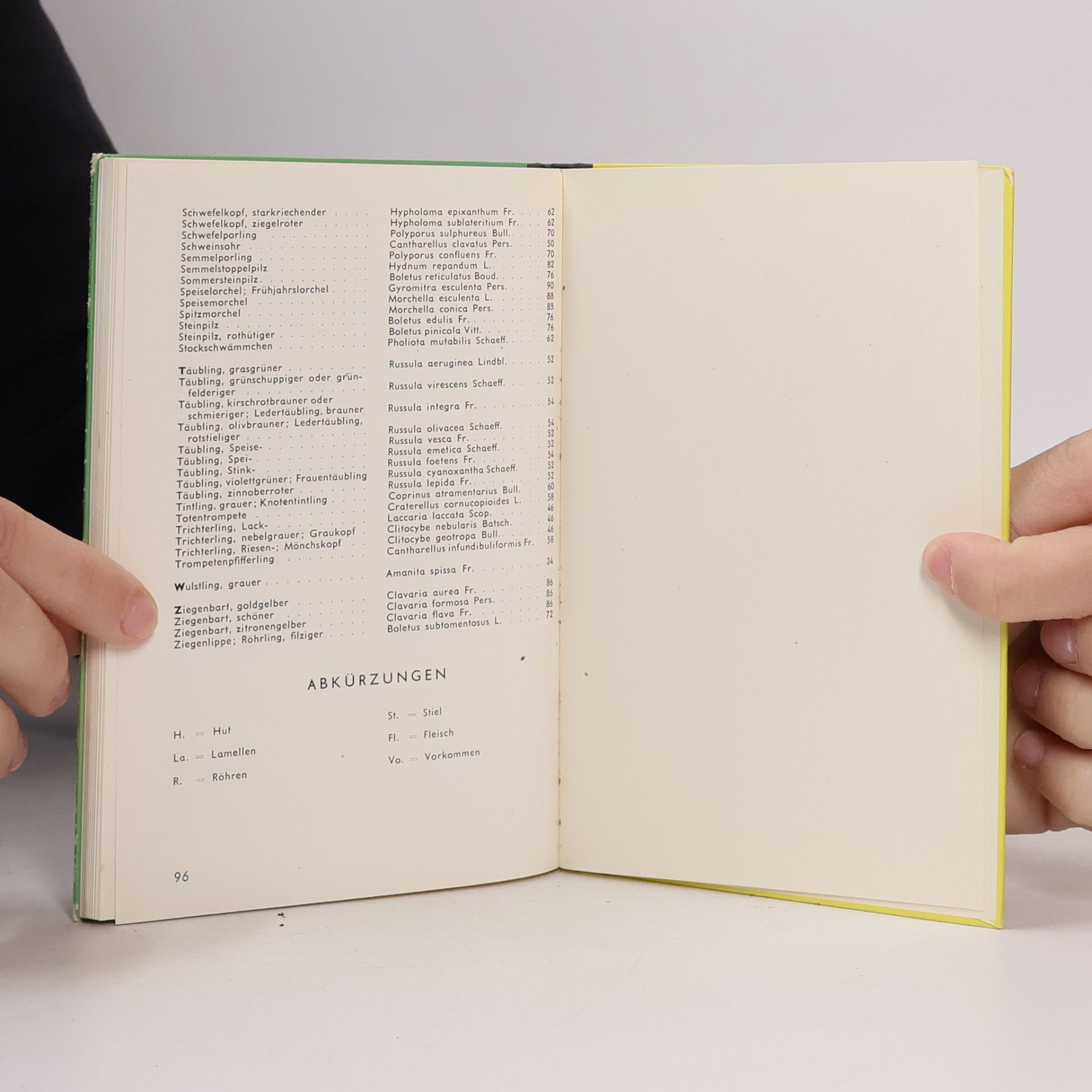 Ernst Habersaat Mein Pilzbuch