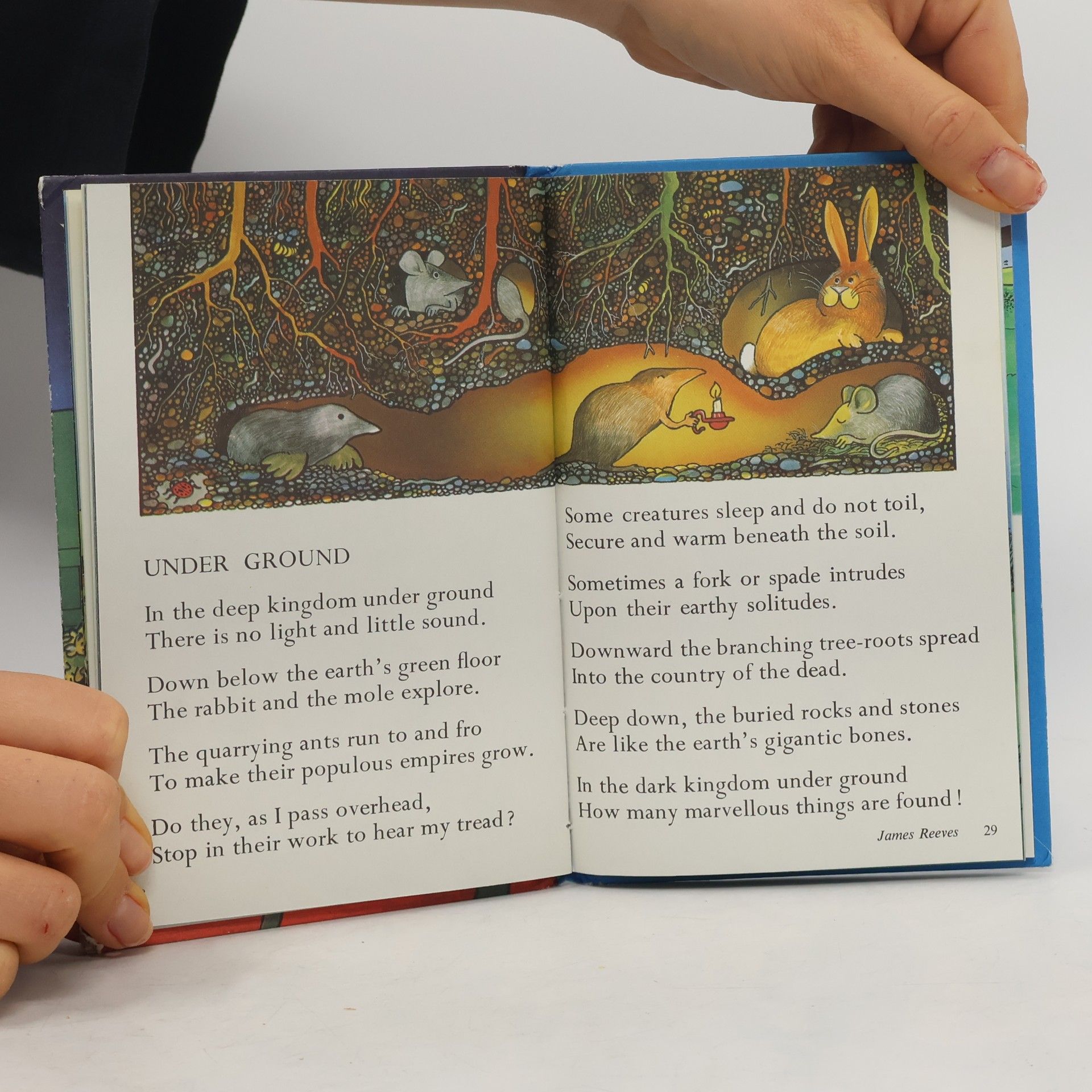 James Hodgson Nursery Rhymes and Stories: Bedtime Rhymes