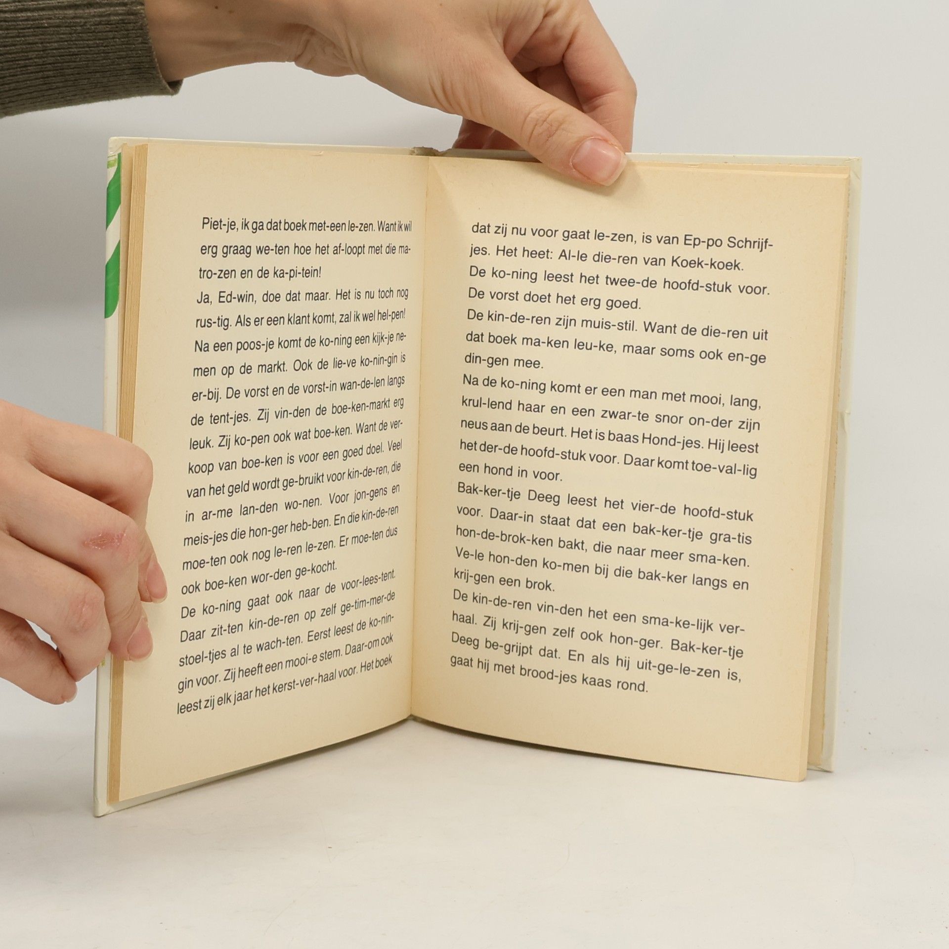 Joop van den Haak Bakkertje Deeg en het kinderboekenfeest