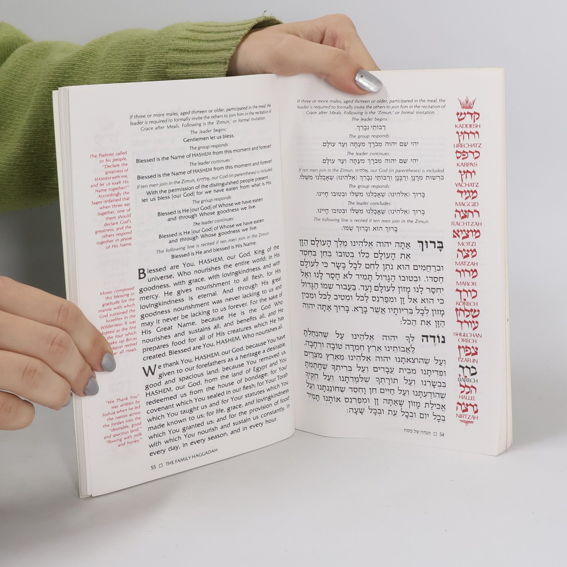 Various authors The Family Haggadah