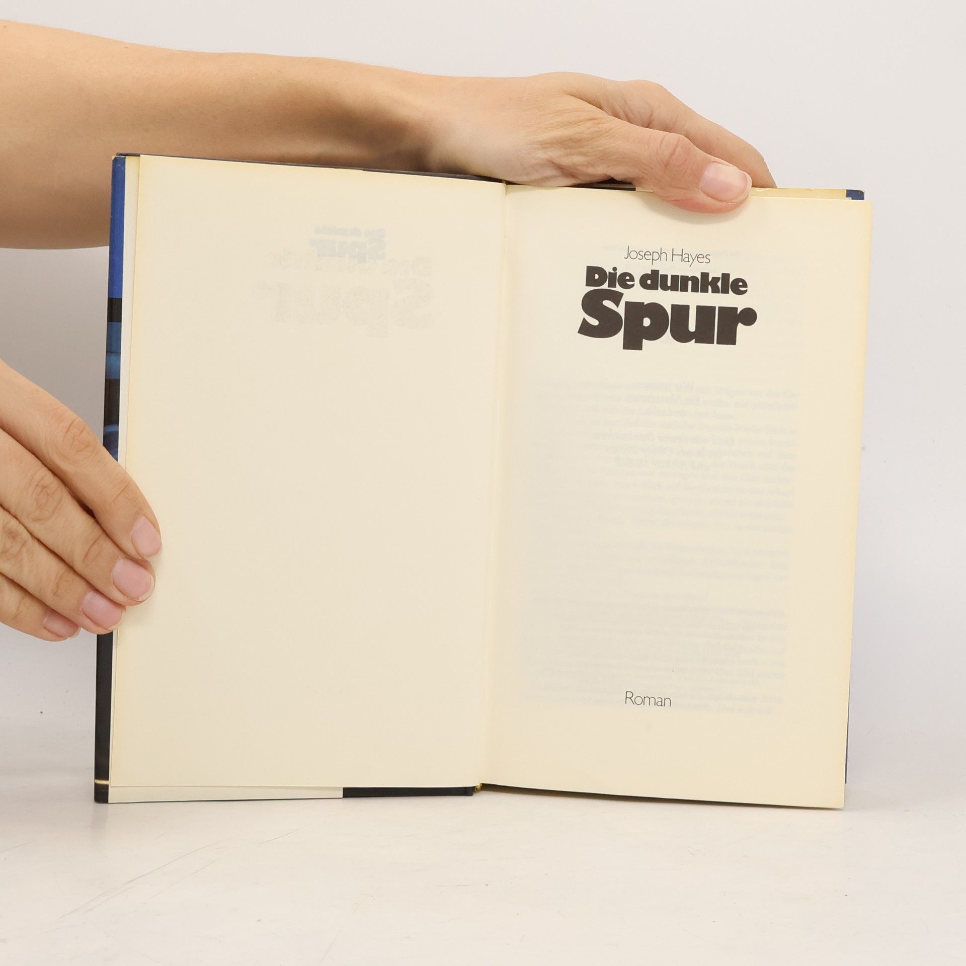 Joseph Hayes Die dunkle Spur