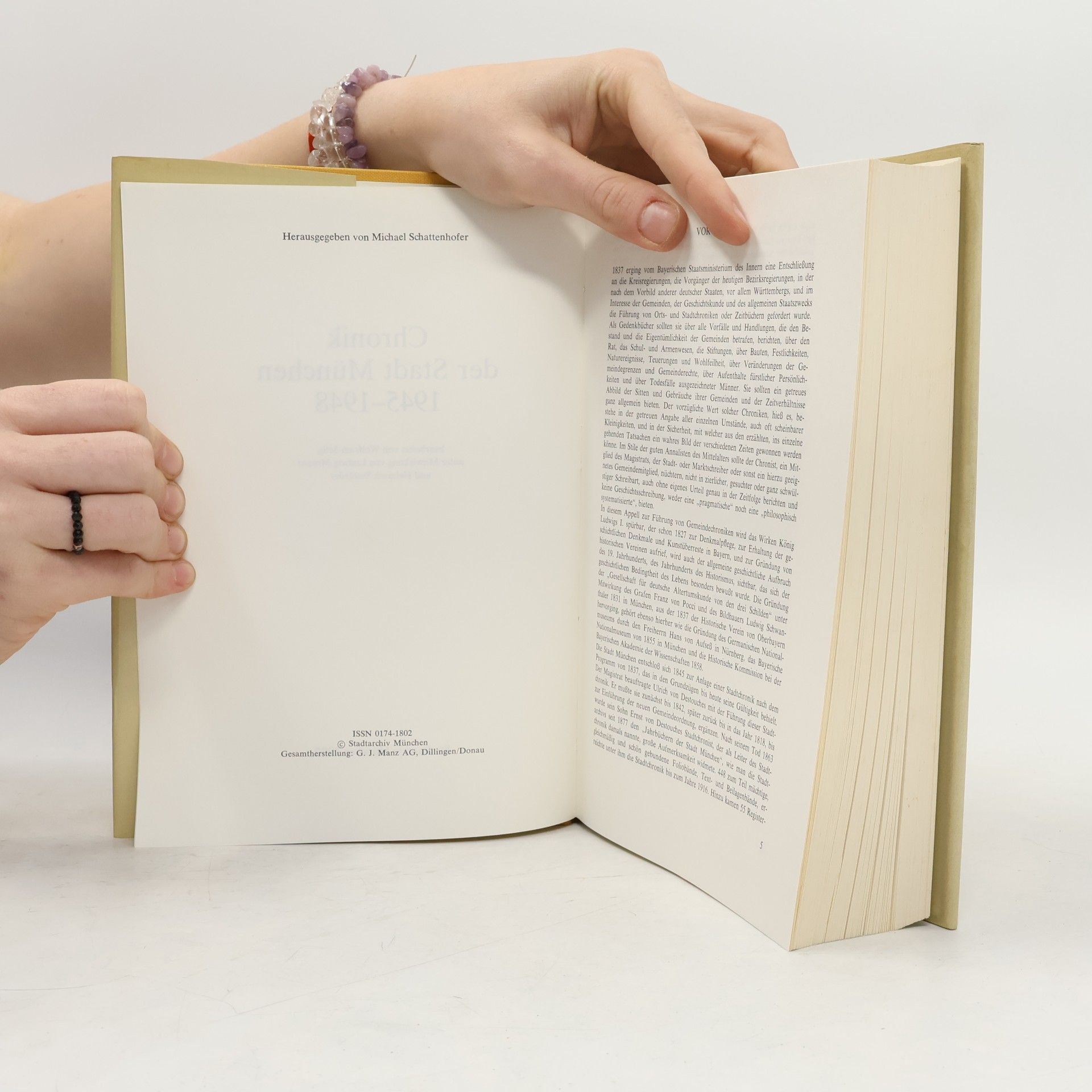 Kolektiv autorů Chronik der Stadt München 1945-1948