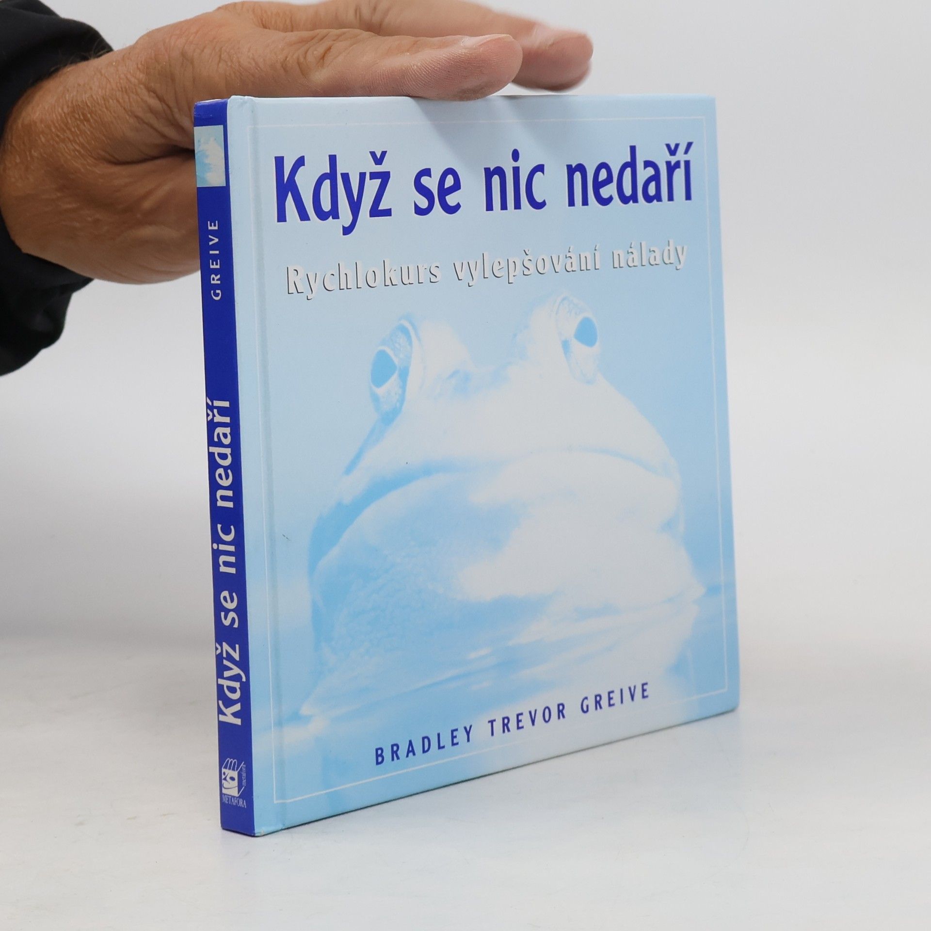 Když se nic nedaří. Rychlokurs vylepšování nálady