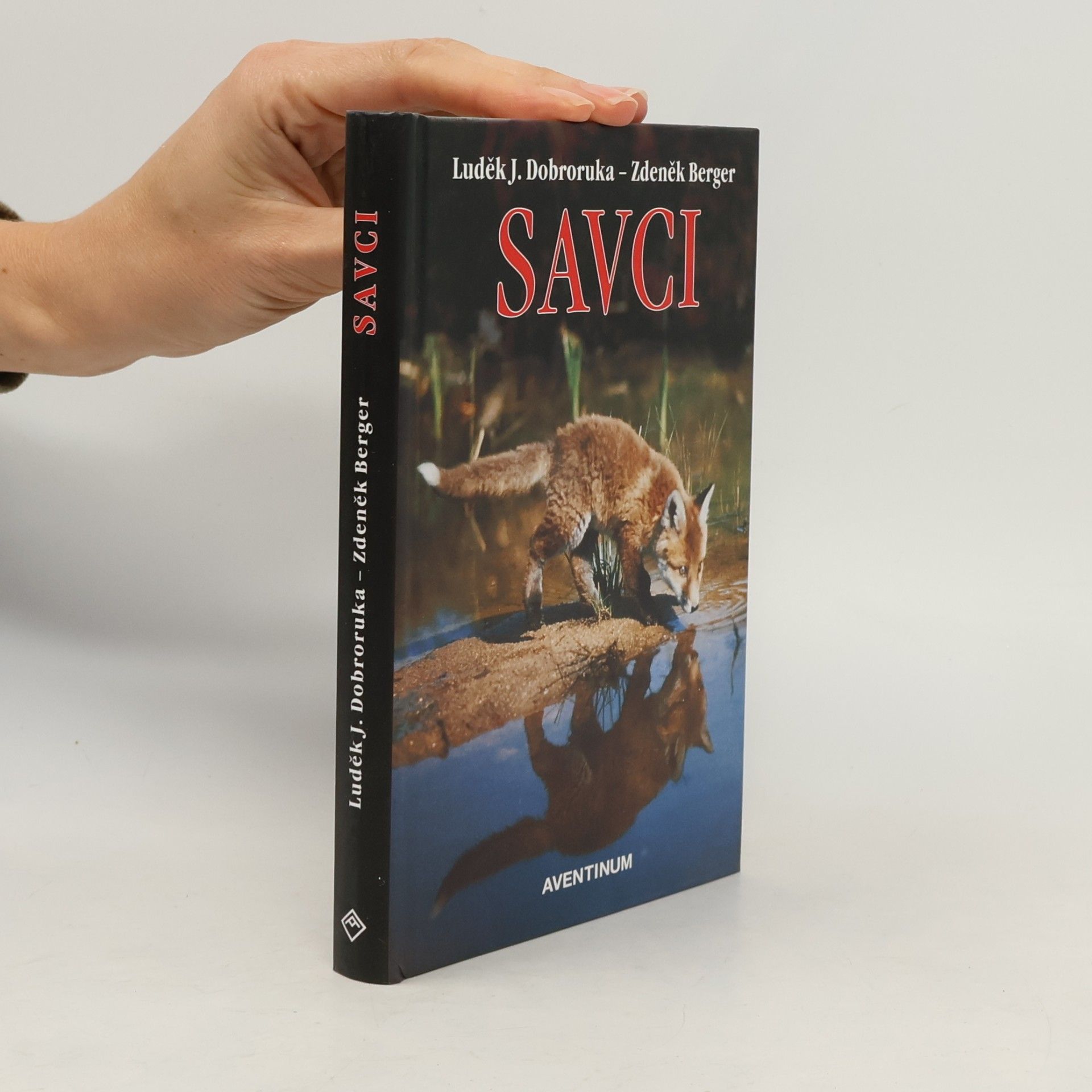 Savci