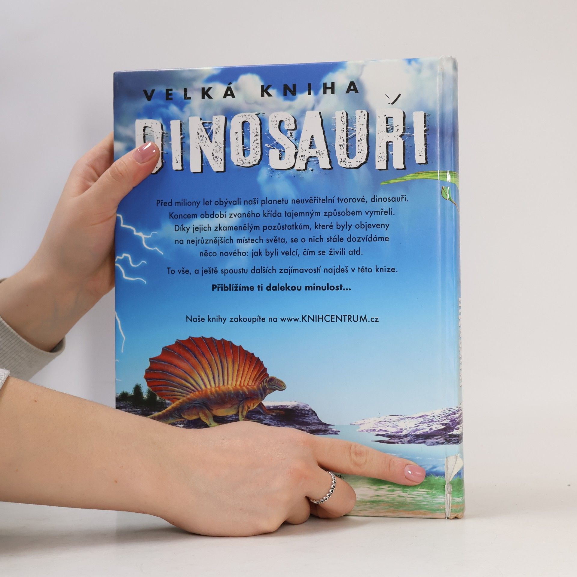 Autores varios Velká kniha. Dinosauři
