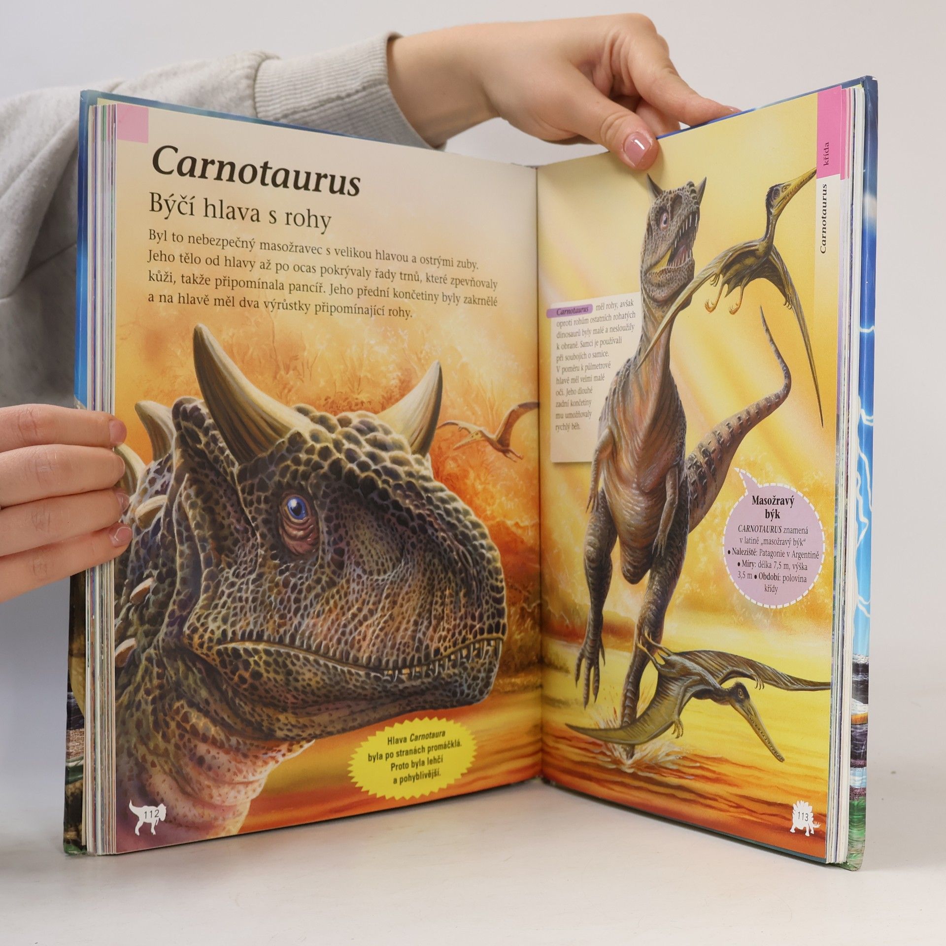 Autores varios Velká kniha. Dinosauři