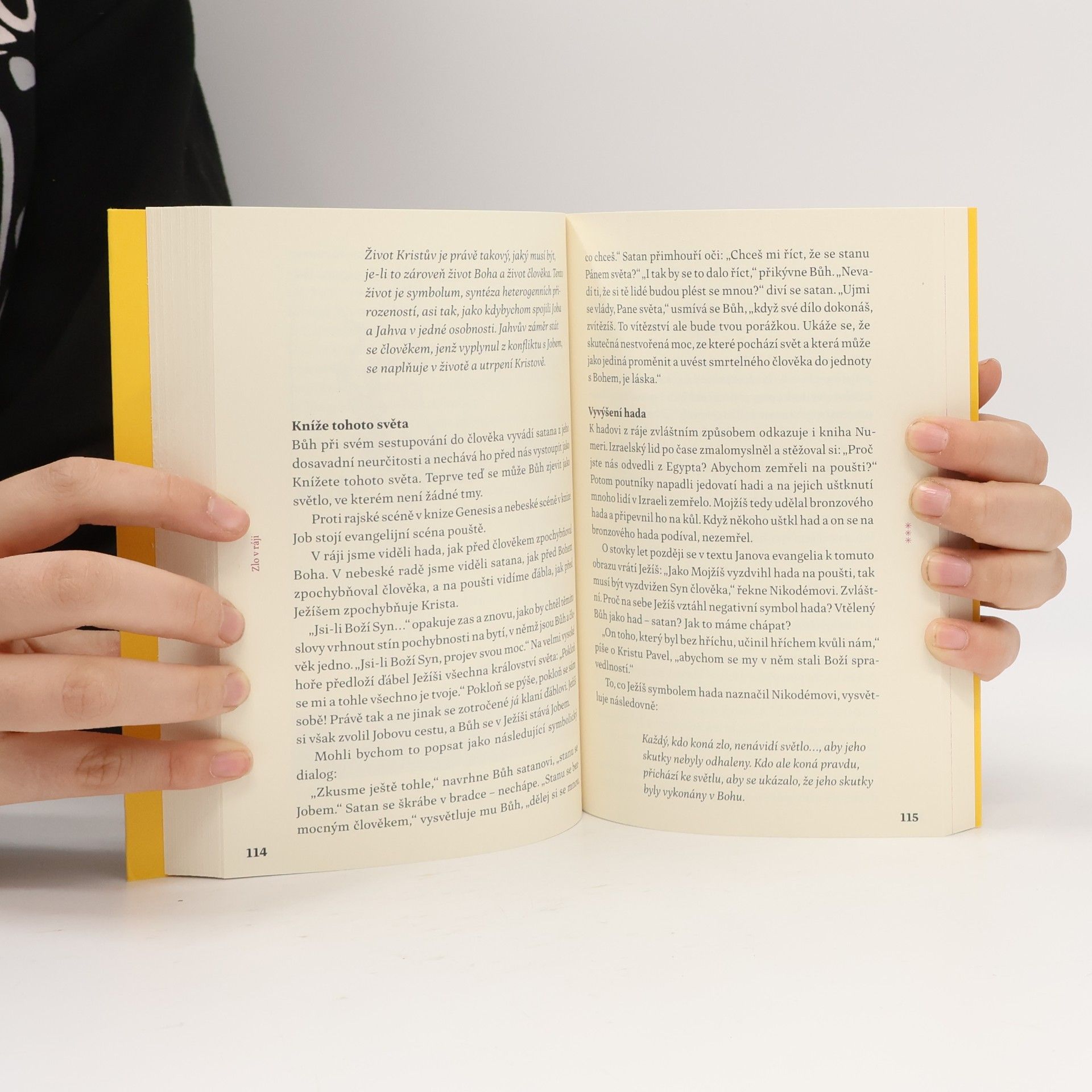 Daniel Pastirčák Labyrintem Bible : putování za podivuhodným příslibem