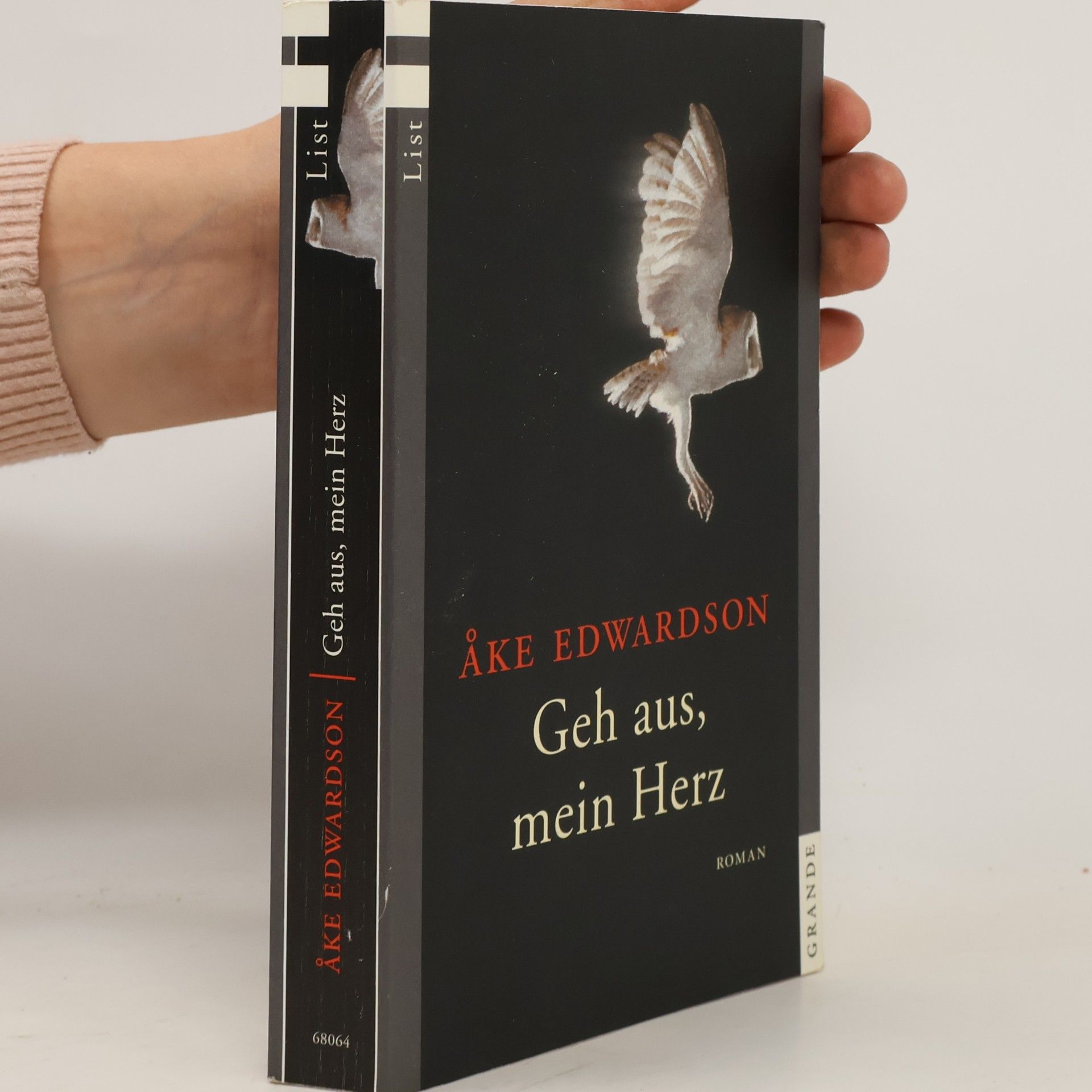 Åke Edwardson Geh aus, mein Herz