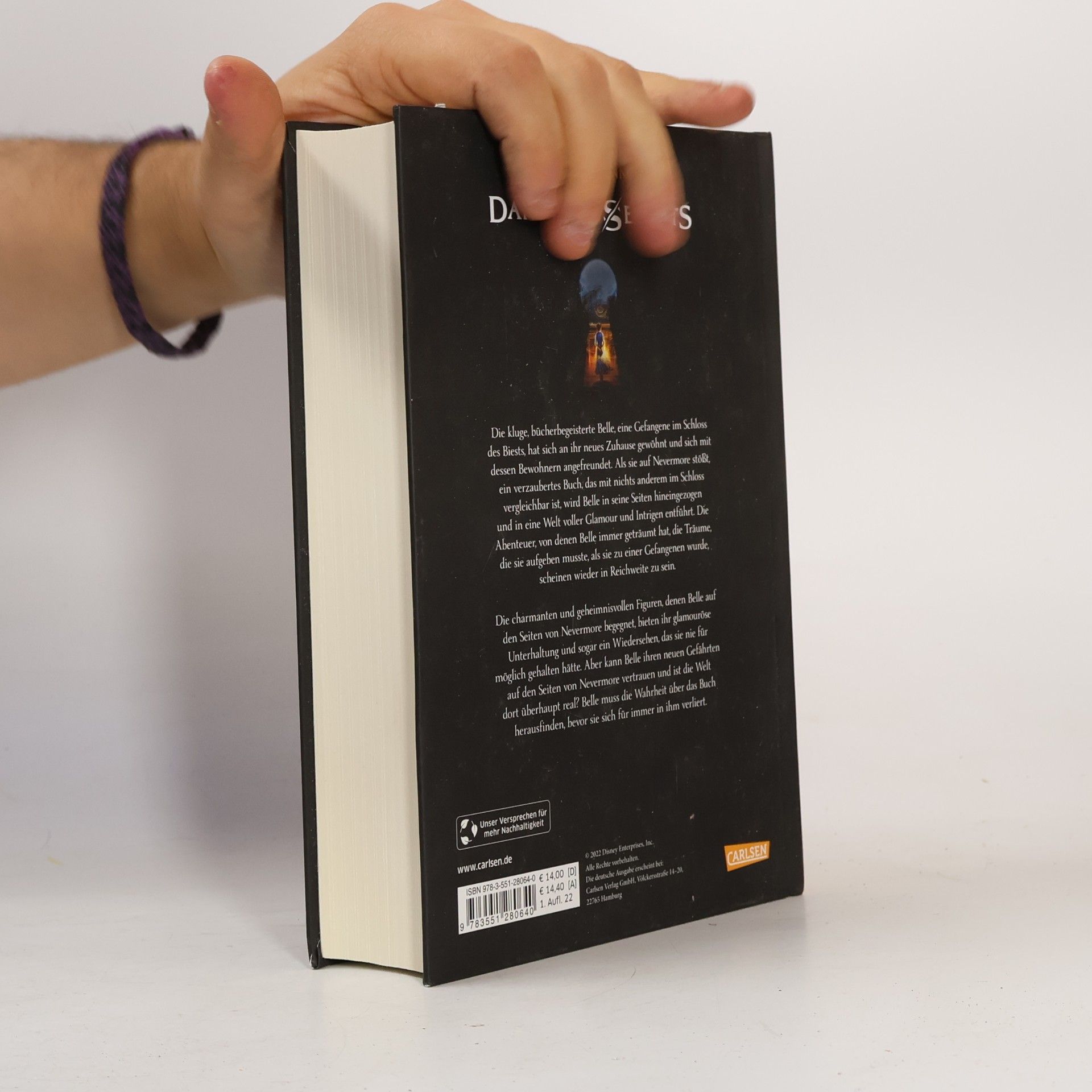 Jennifer Donnelly Das endlose Buch