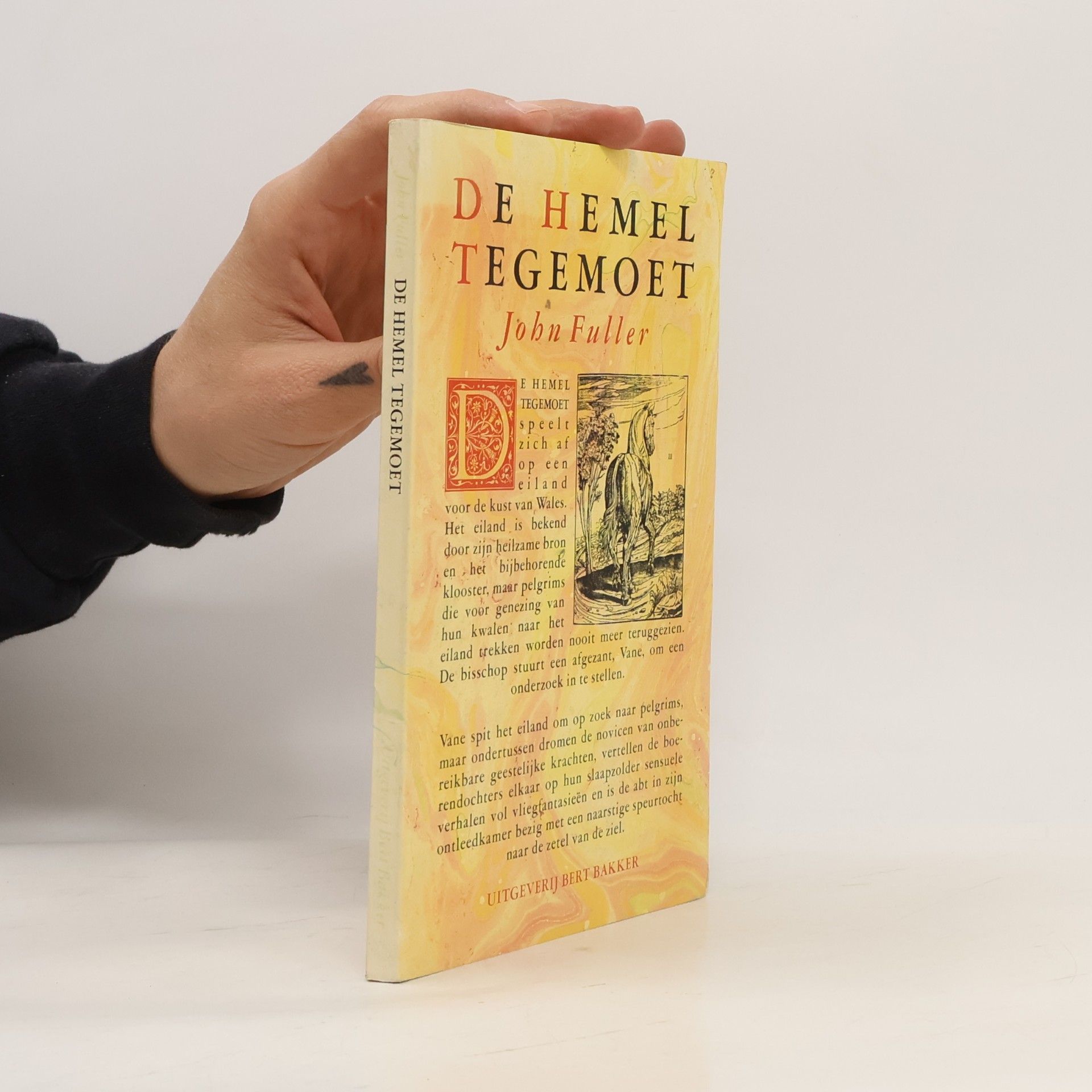 De Hemel tegemoet