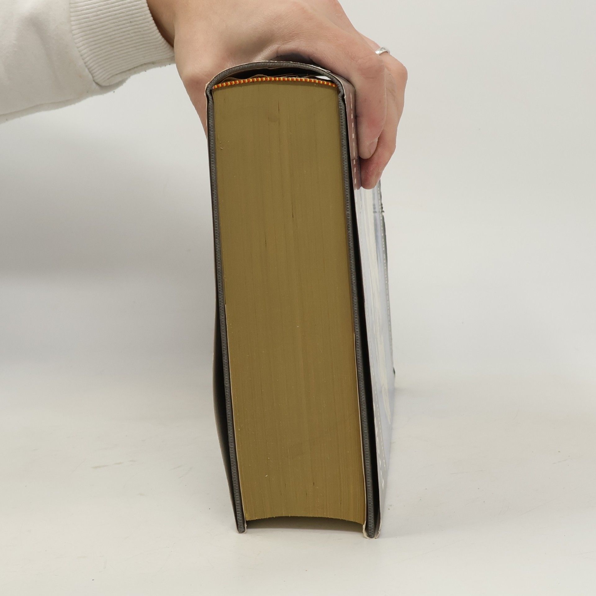 Autorenkollektiv Propyläen-Weltgeschichte: Weltkulturen. Renaissance in Europa
