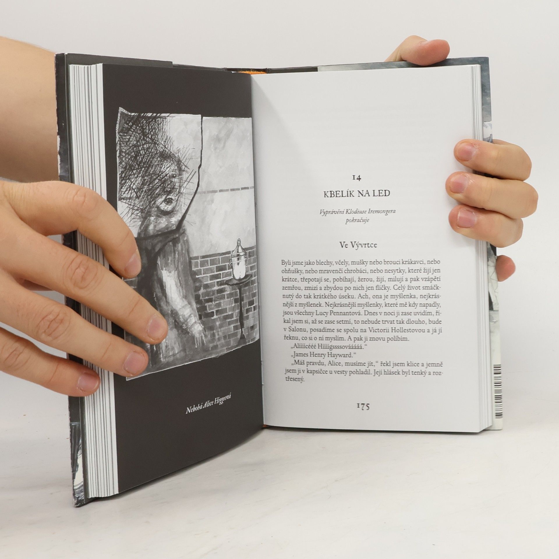 Edward Carey Kronika rodu Iremongerů. Kniha první, Smetištejn