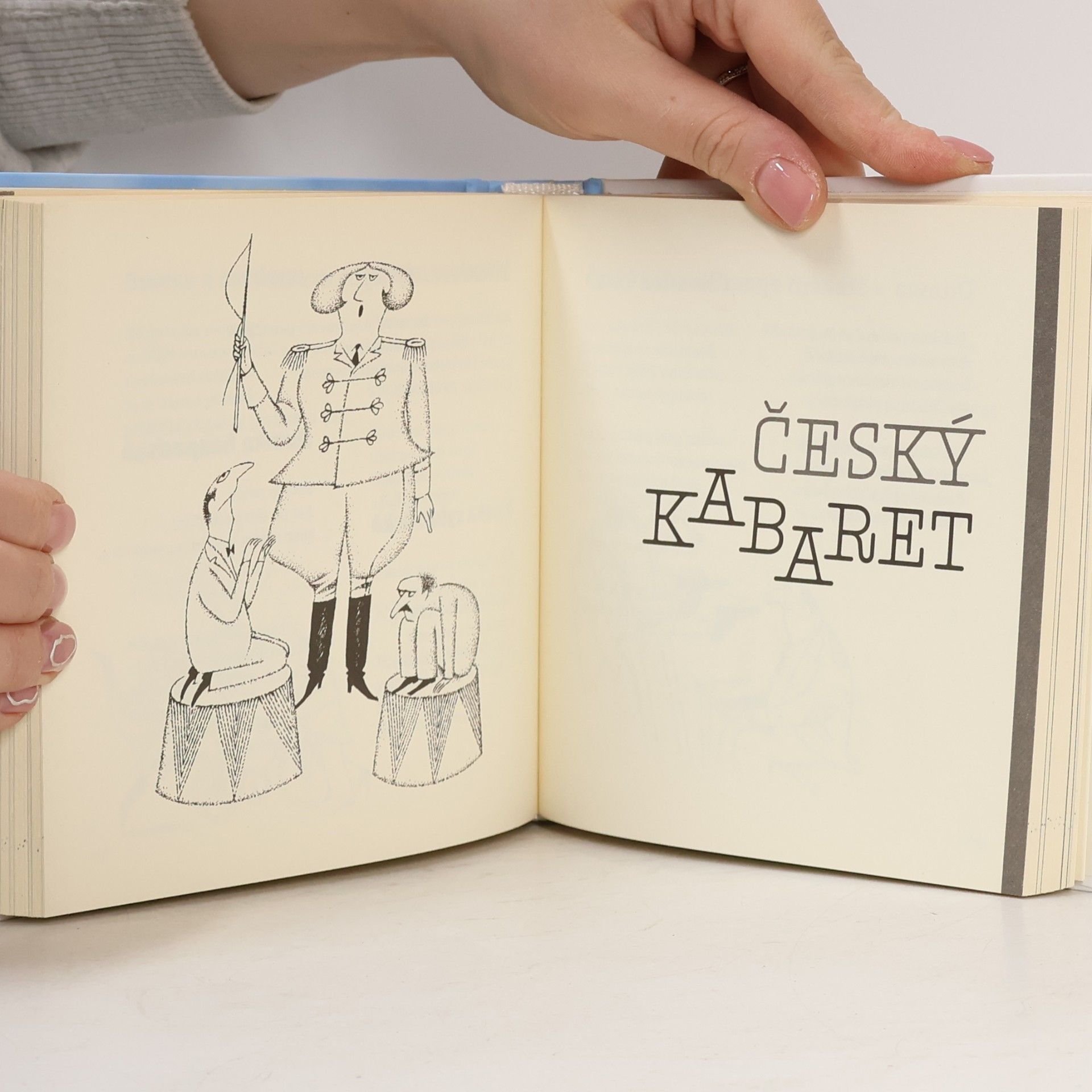 Jiří Žáček Český satirikon : (1966-2016) : epigramy, humoresky, parodie