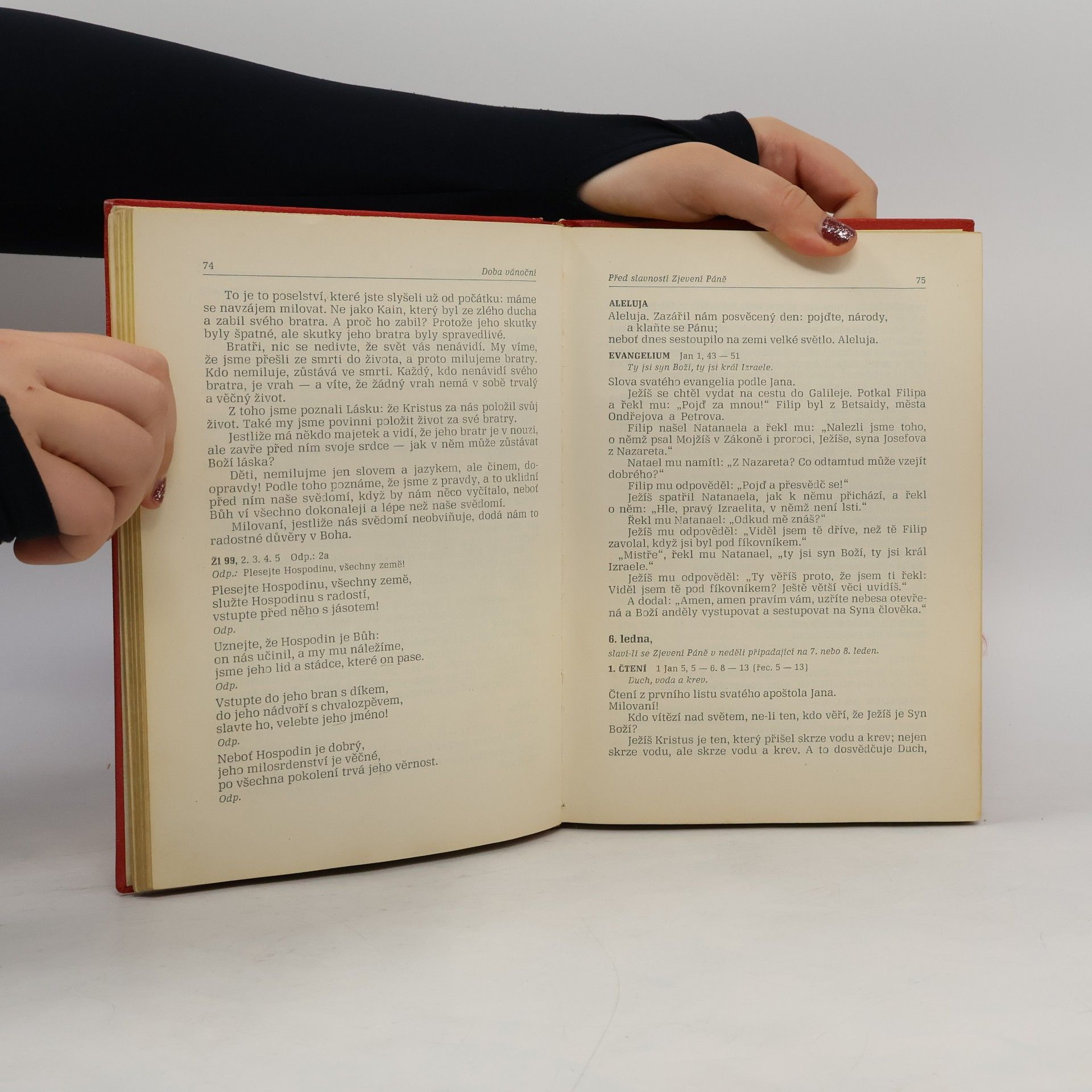 Various authors Denní modlitba církve. Lekcionář II