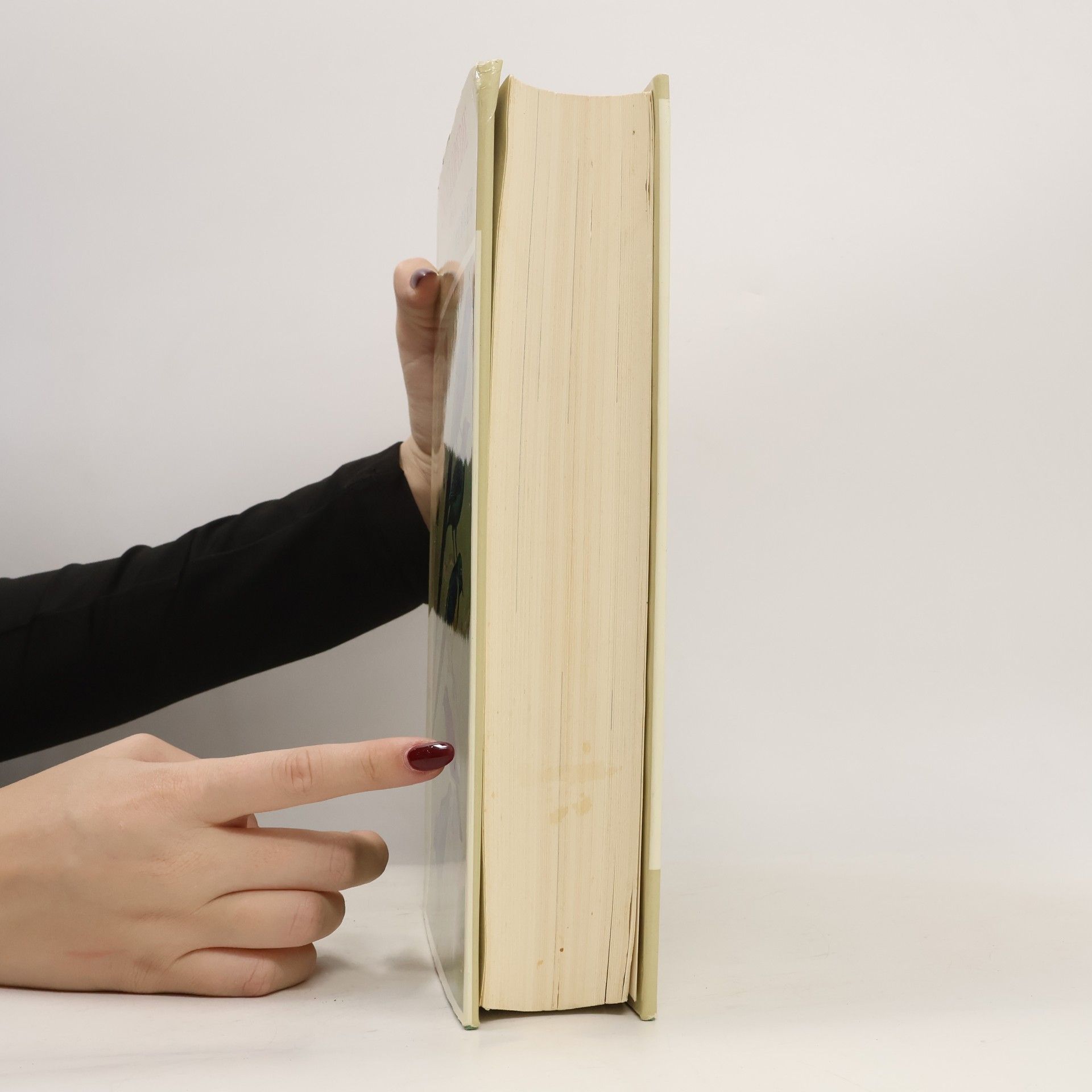 Abram Rutgers Encyclopedie voor de Vogelliefhebber