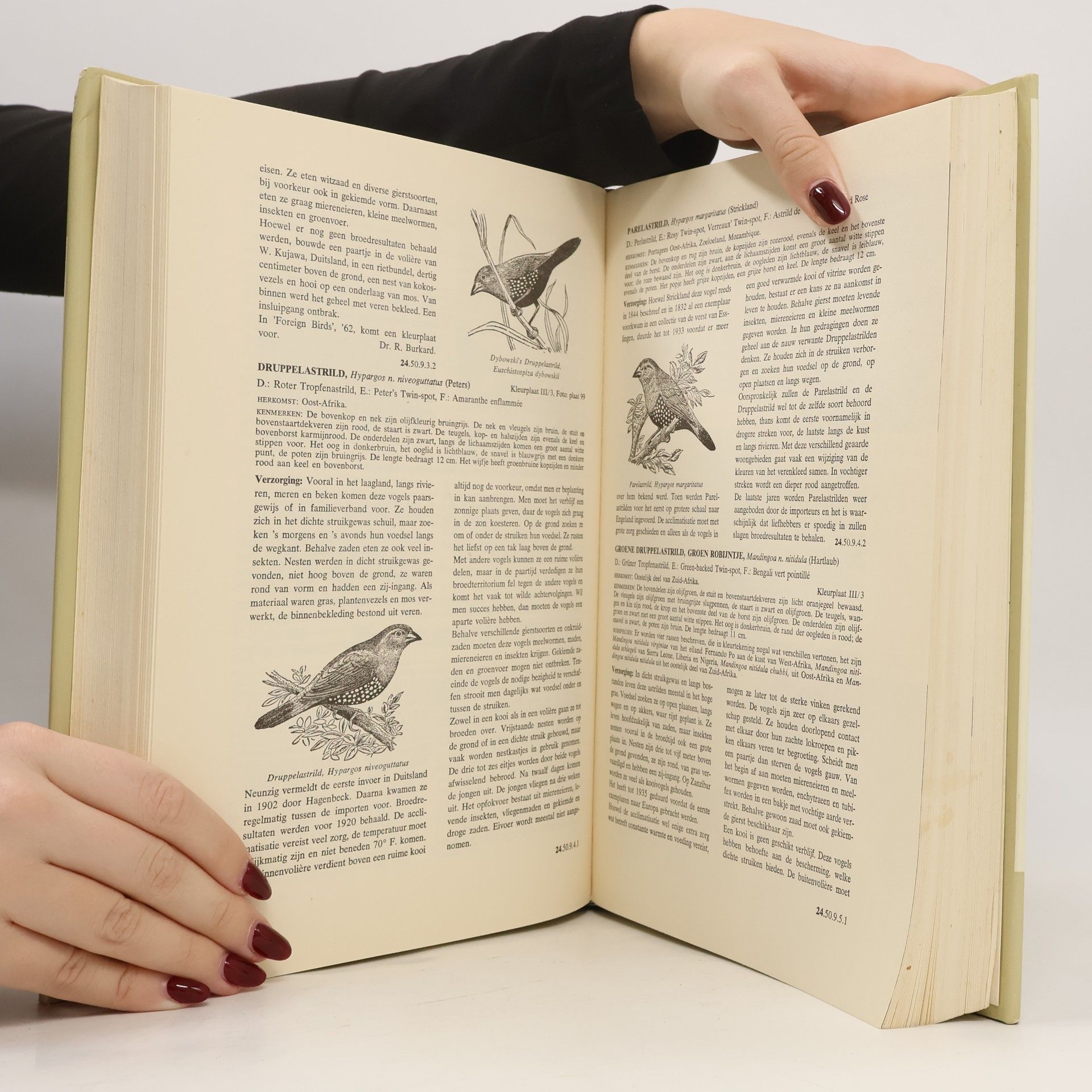 Abram Rutgers Encyclopedie voor de Vogelliefhebber