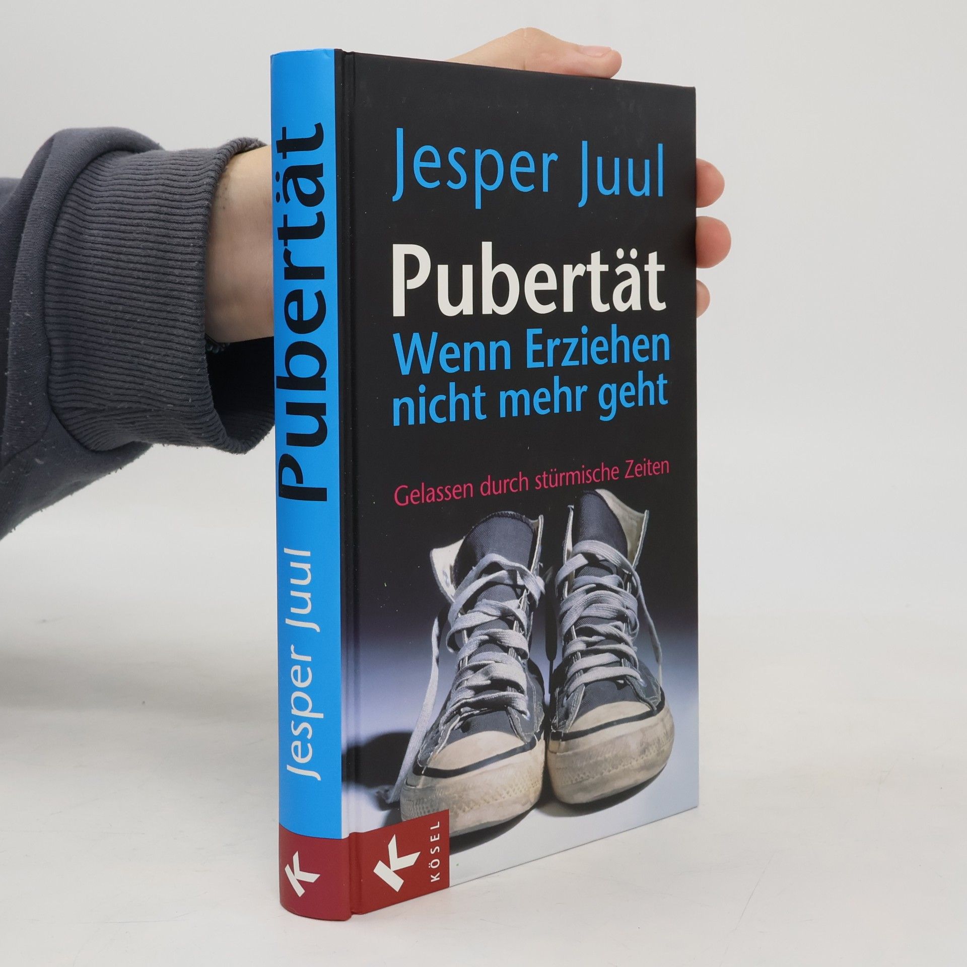Pubertät Wenn Erziehen nicht mehr geht