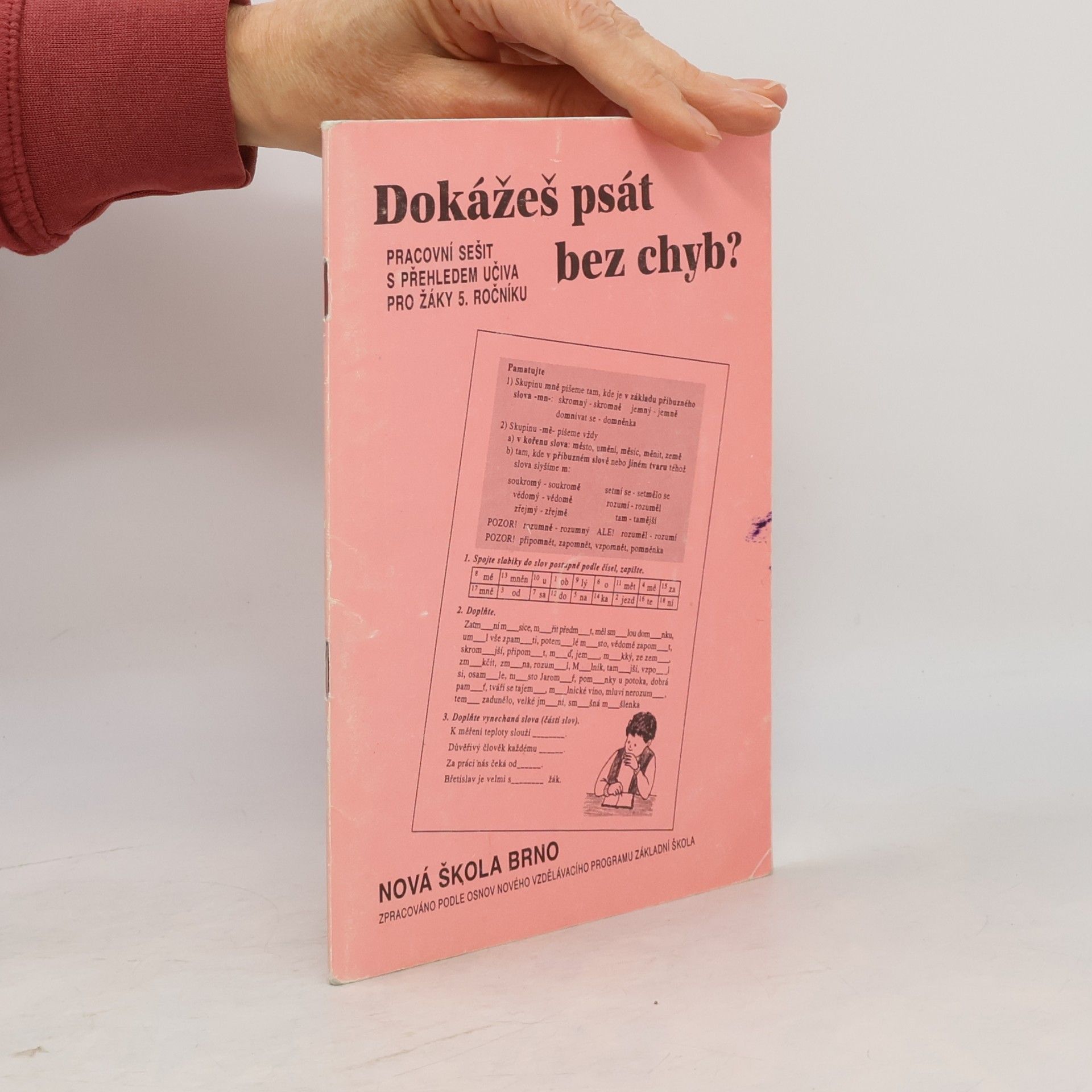 Dokážeš psát bez chyb? : pracovní sešit s přehledem učiva pro žáky 5. ročníku