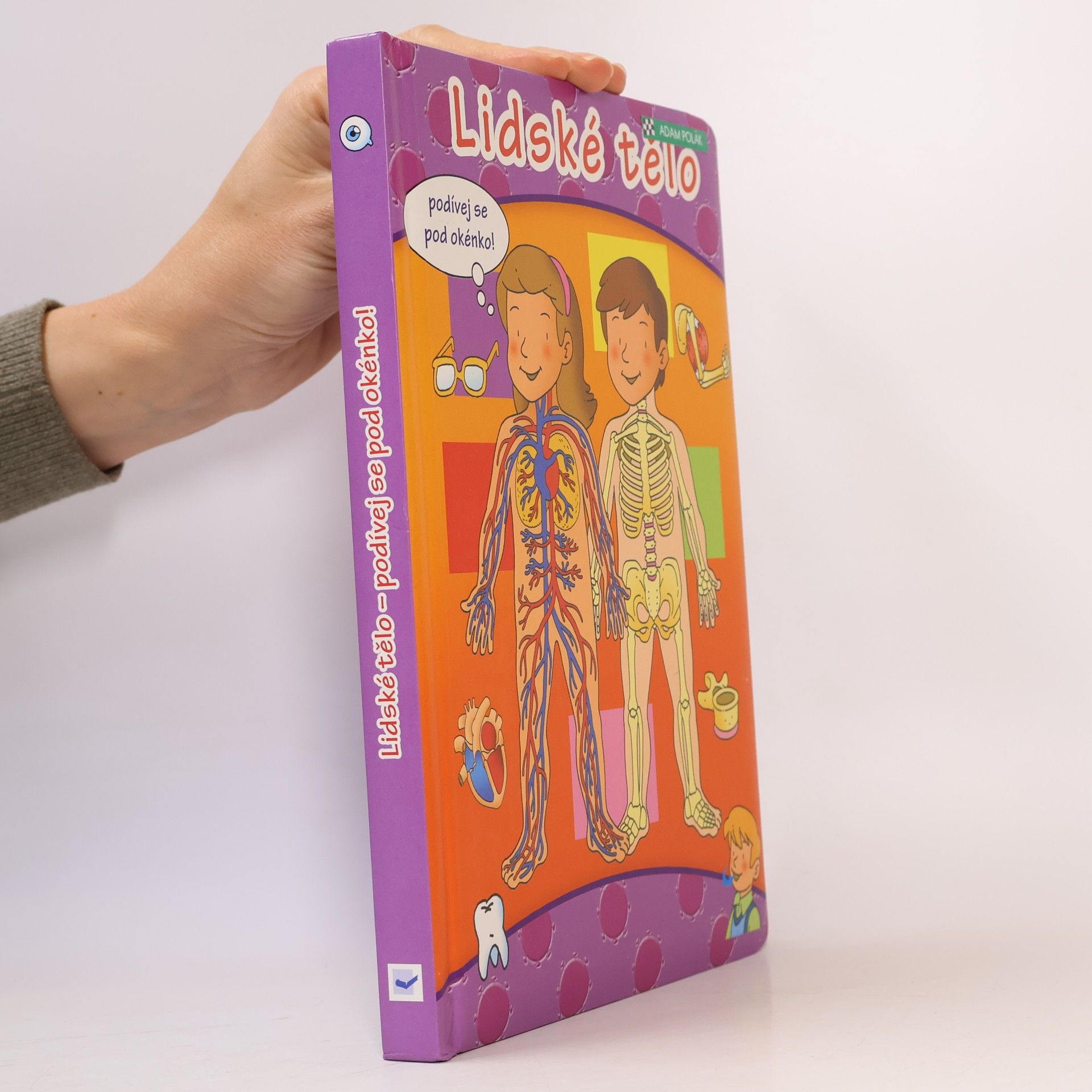 Autorenkollektiv Lidské tělo – podívej se pod okénko!
