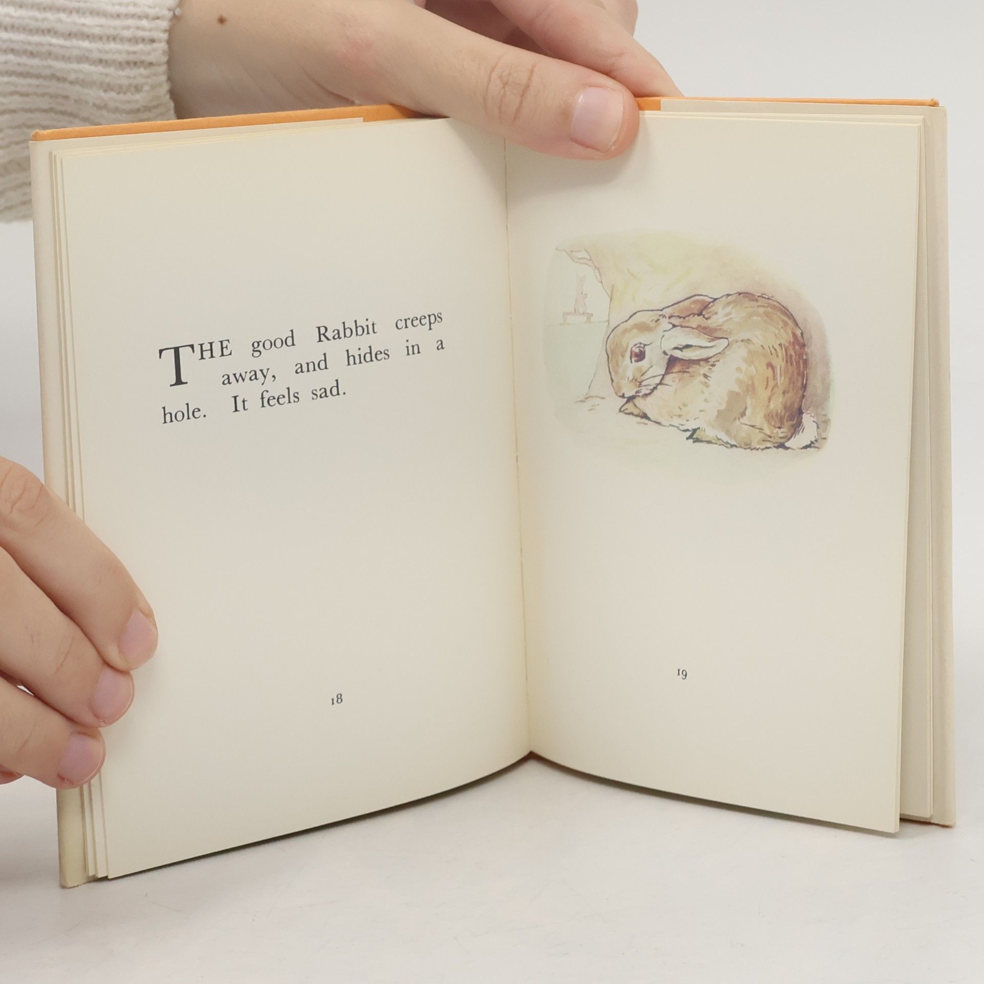 Beatrix Potter The Story of a Fierce Bad Rabbit