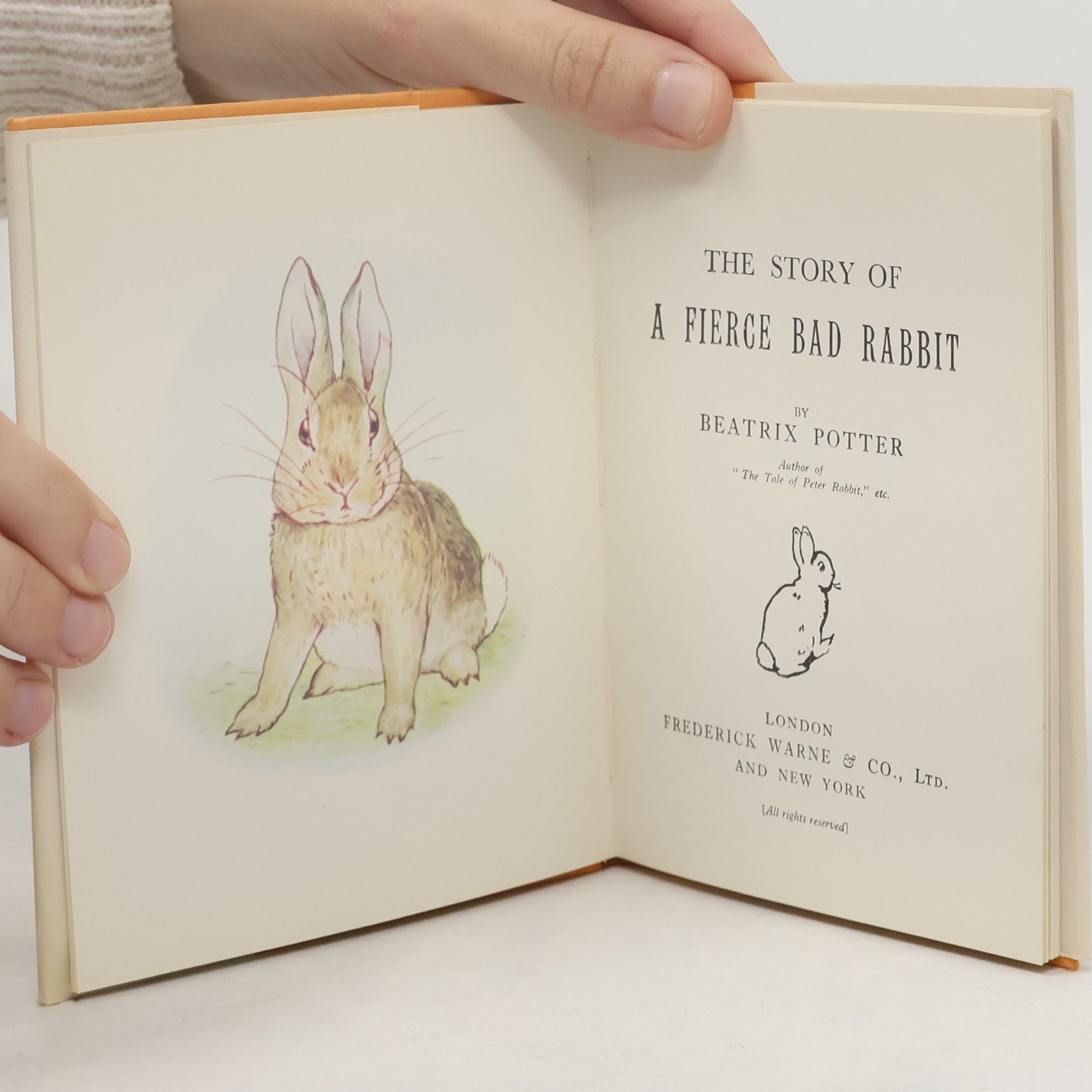 Beatrix Potter The Story of a Fierce Bad Rabbit