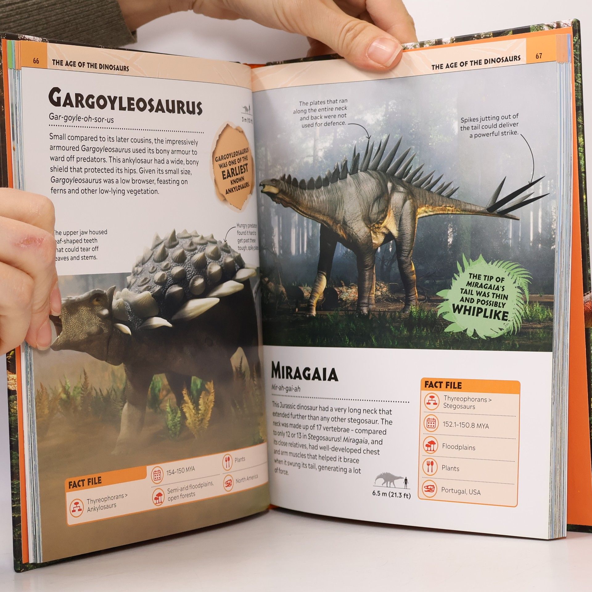 D.K. Publishing Extraordinary Dinosaurs and Other Prehistoric Life Visual Encyclopedia