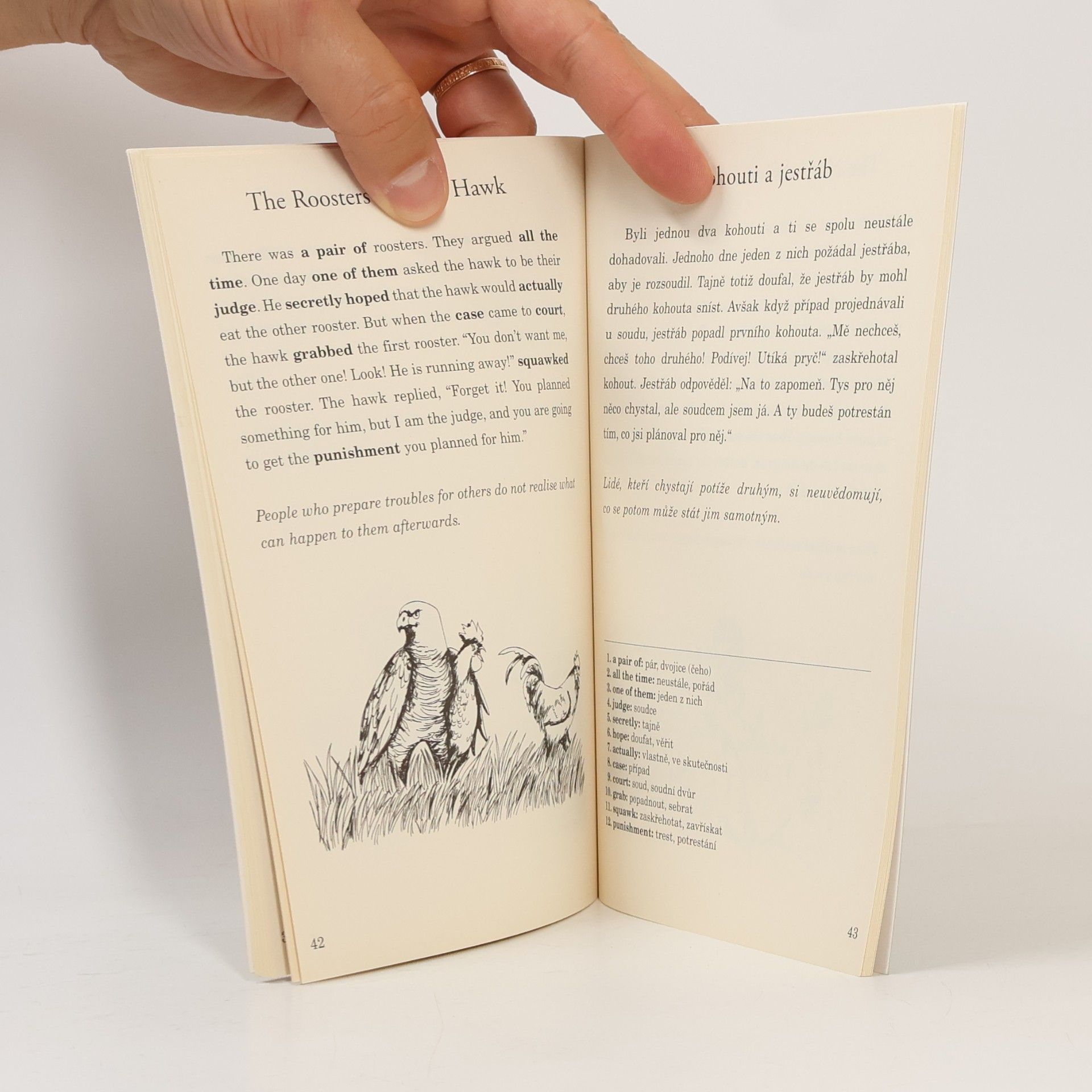 Simon Gill Aesop's fables : Ezopovy bajky