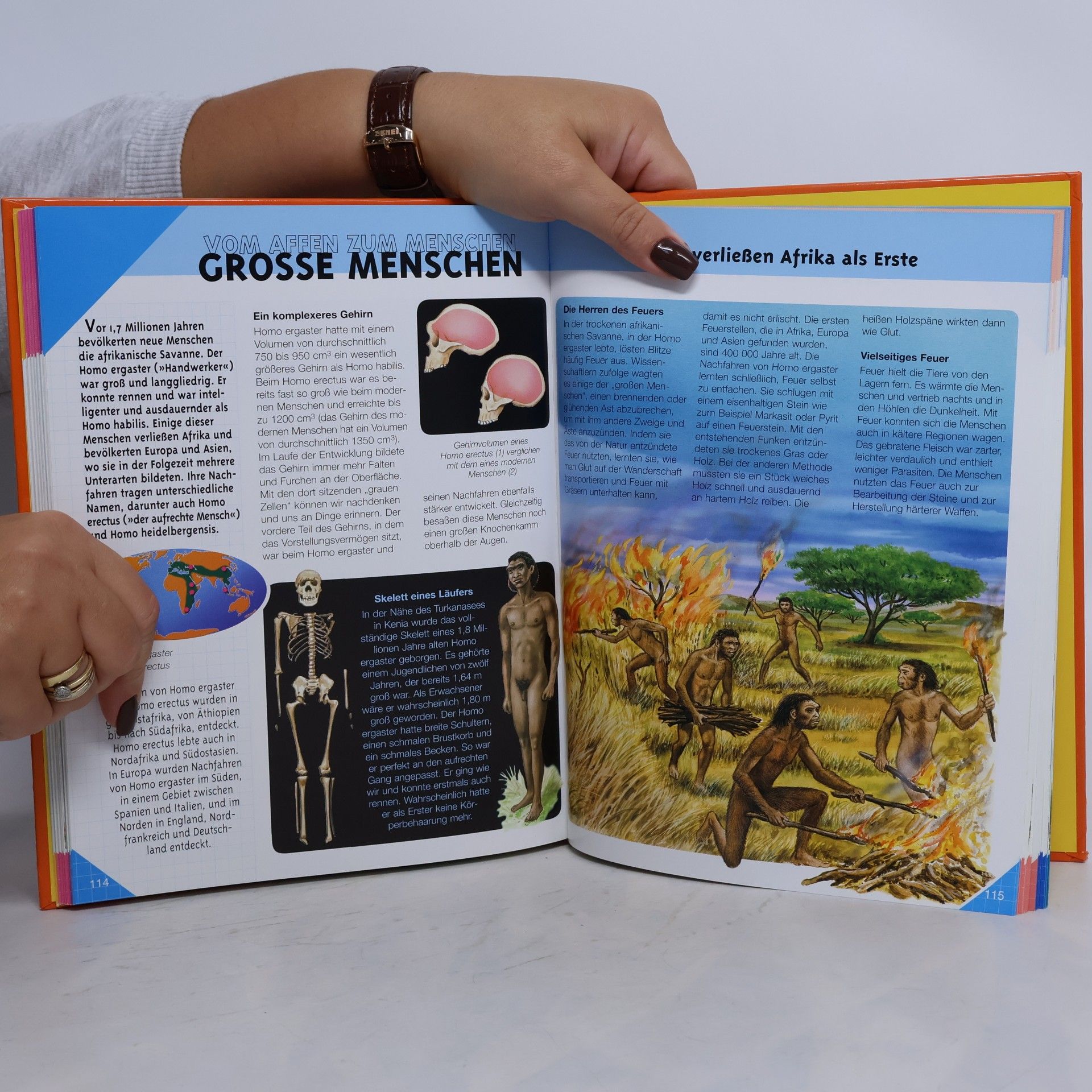 Various authors Grundwissen. Dinosaurier und Vorgeschichte