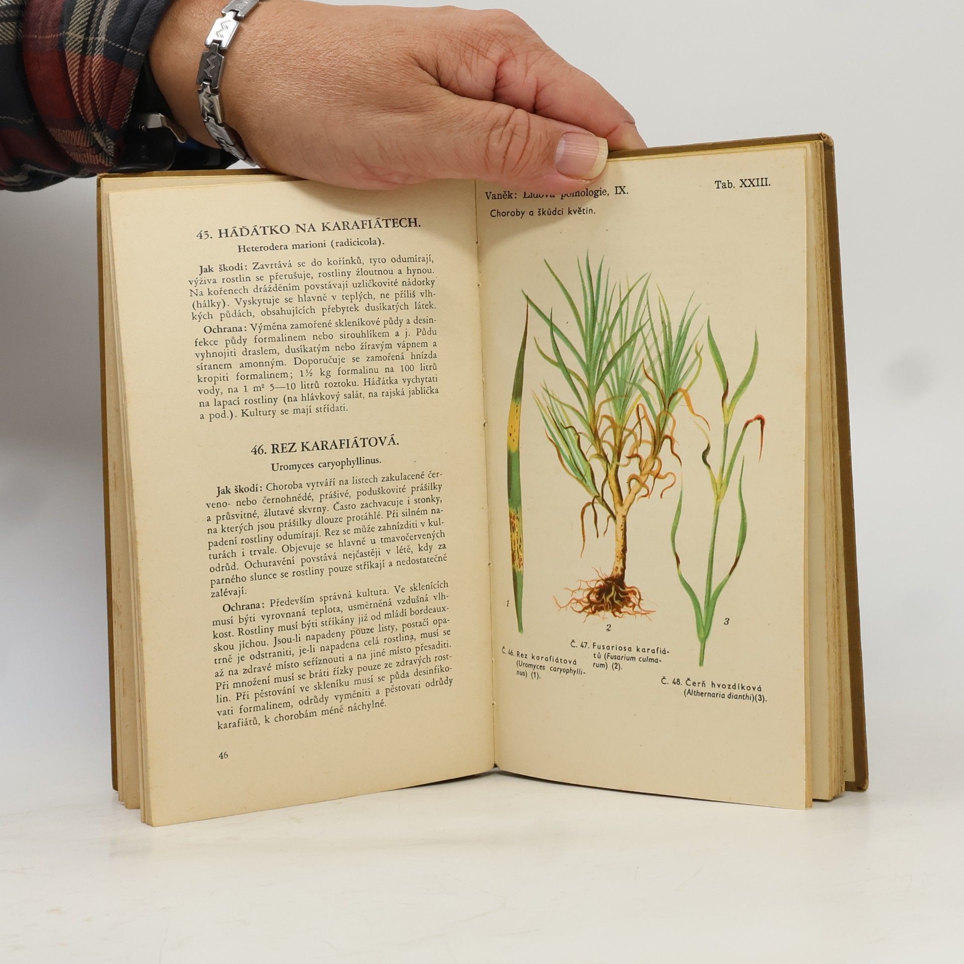 Josef Vaněk Lidová pomologie IX. Druhá stovka chorob a škůdců