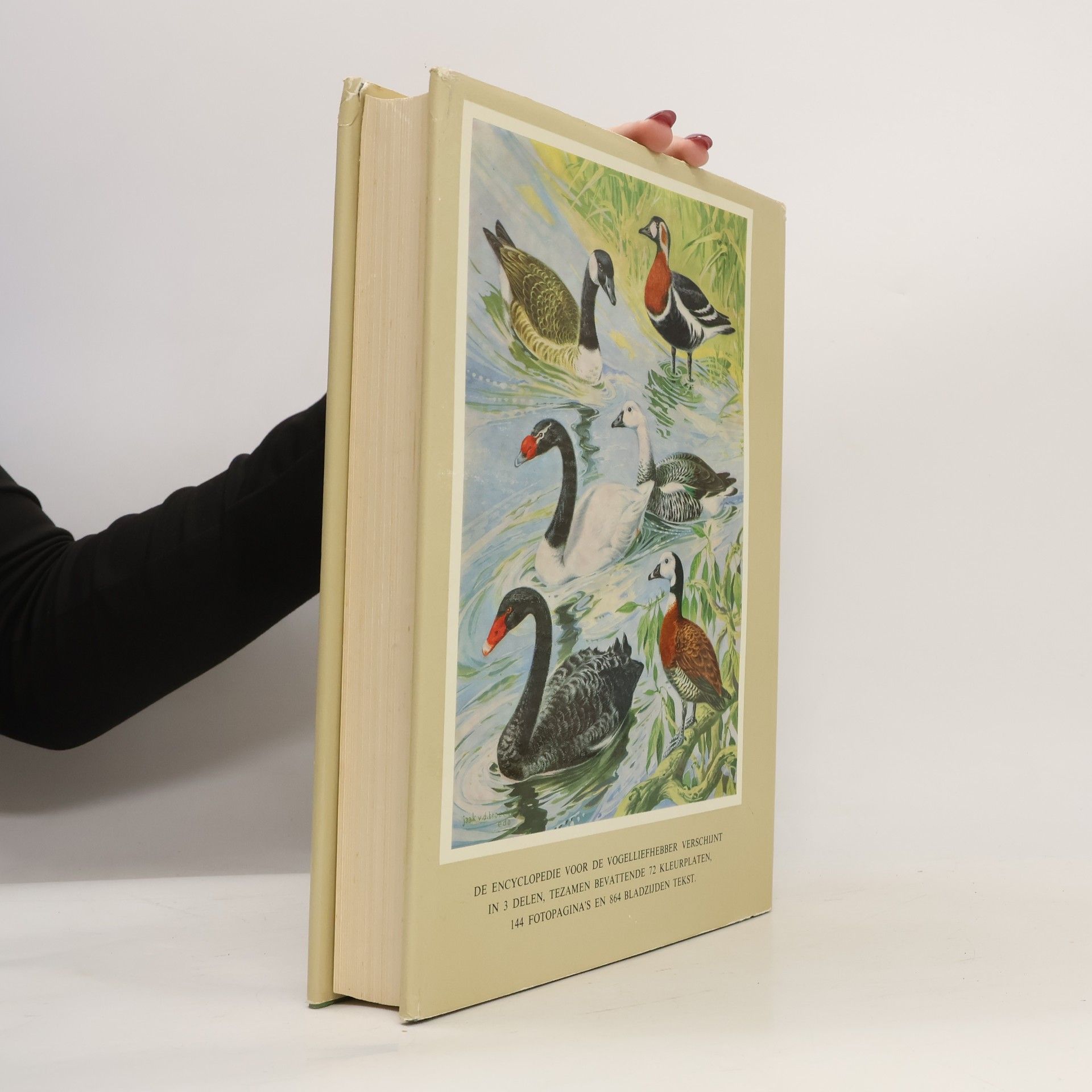 Abram Rutgers Encyclopedie voor de vogelliefhebber II.